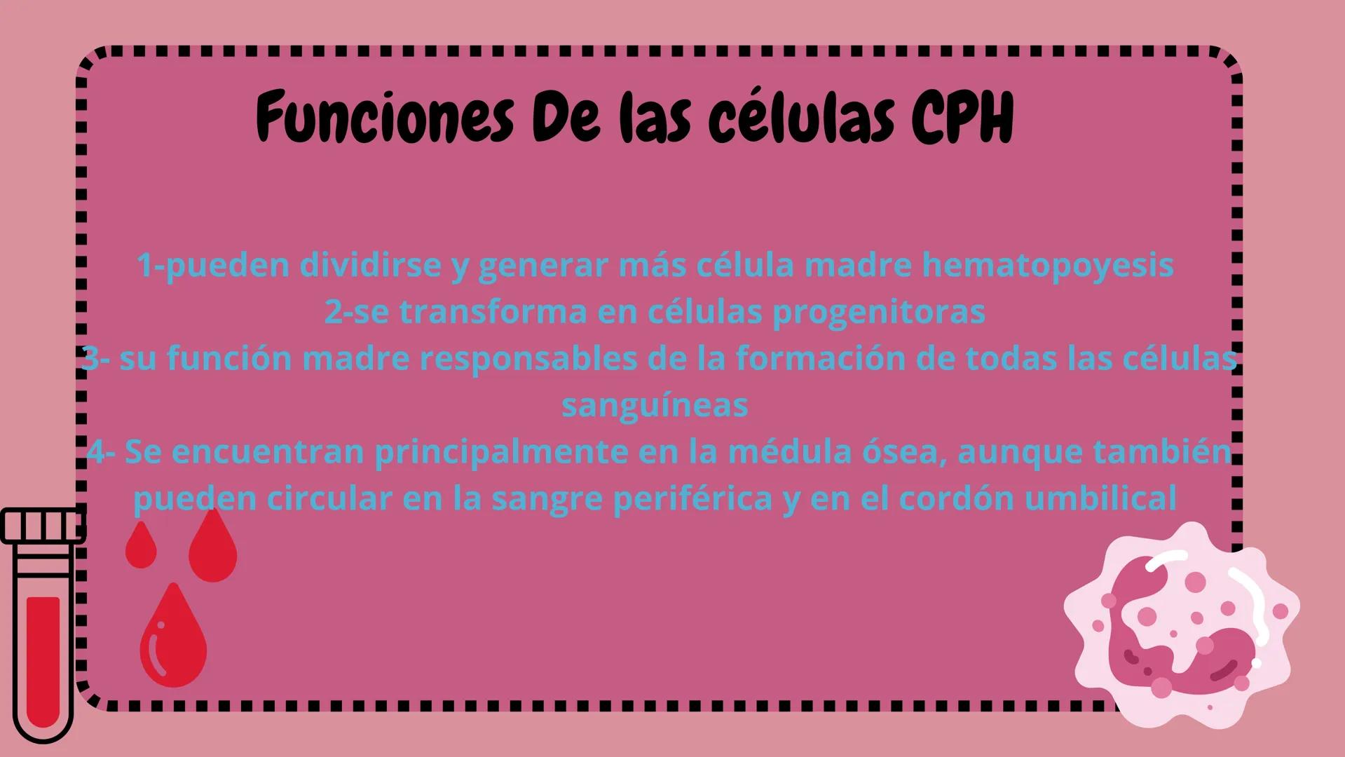 # HEMATOPOYESIS
EQUIPO #3 # Chelssy Janeth Cisneros Rodriguez
¿Qué es la
Hematopoyesis? Chelssy Janeth Cisneros Rodriguez
¿Qué es la Hema