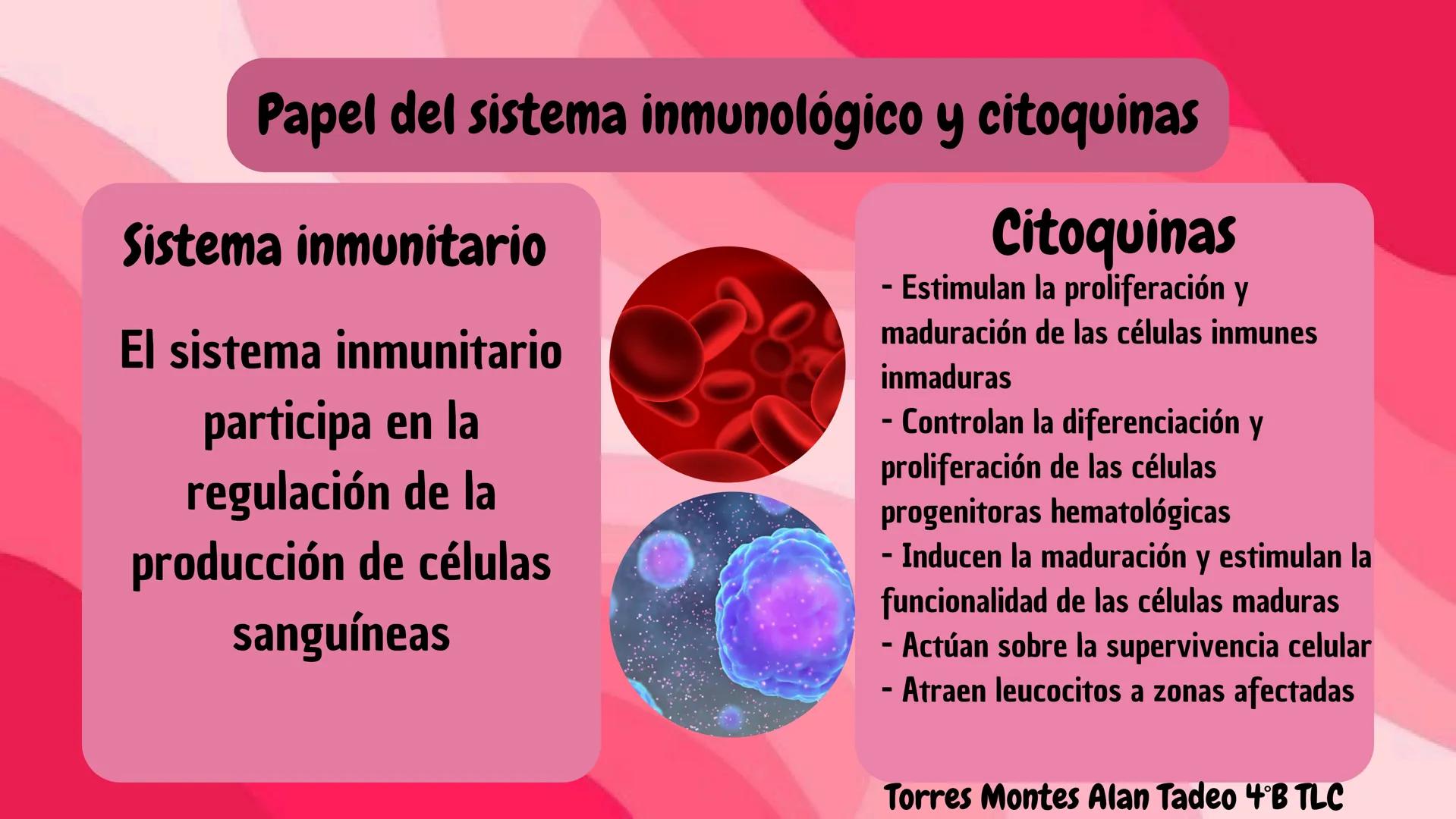 # HEMATOPOYESIS
EQUIPO #3 # Chelssy Janeth Cisneros Rodriguez
¿Qué es la
Hematopoyesis? Chelssy Janeth Cisneros Rodriguez
¿Qué es la Hema