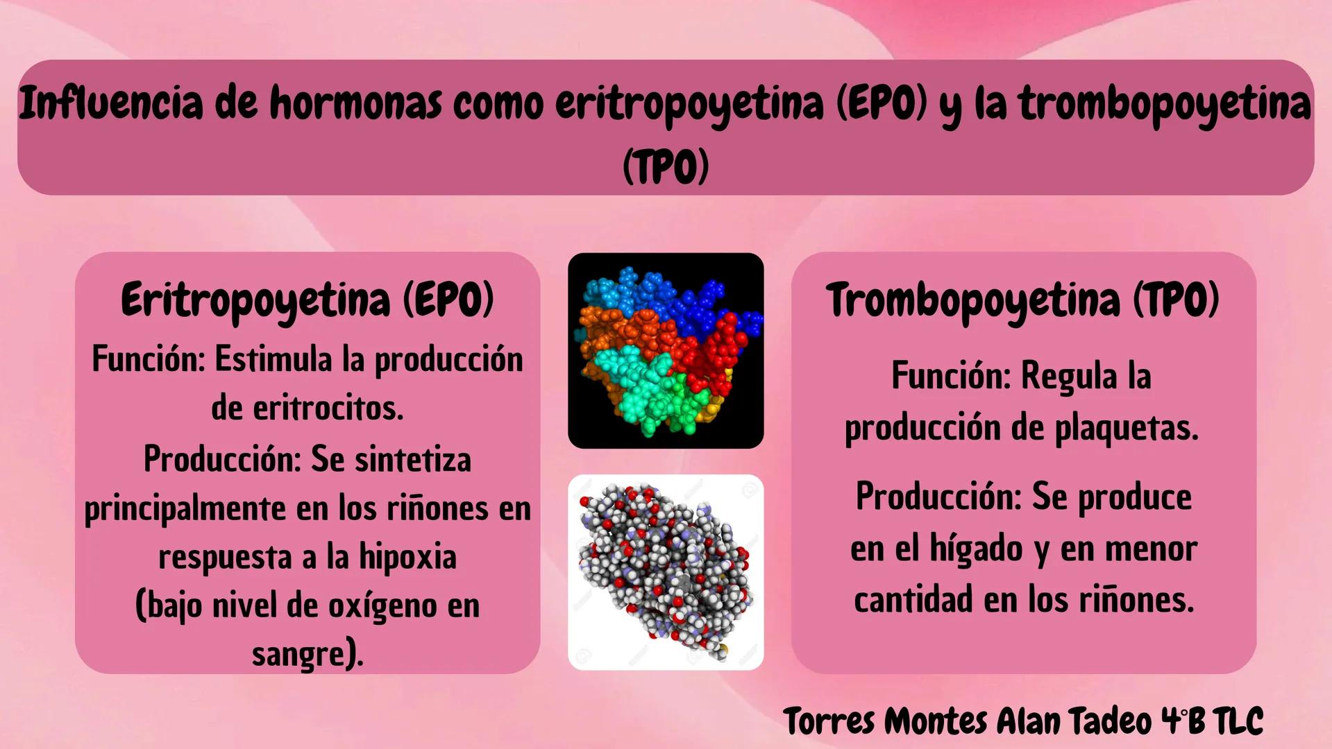 # HEMATOPOYESIS
EQUIPO #3 # Chelssy Janeth Cisneros Rodriguez
¿Qué es la
Hematopoyesis? Chelssy Janeth Cisneros Rodriguez
¿Qué es la Hema