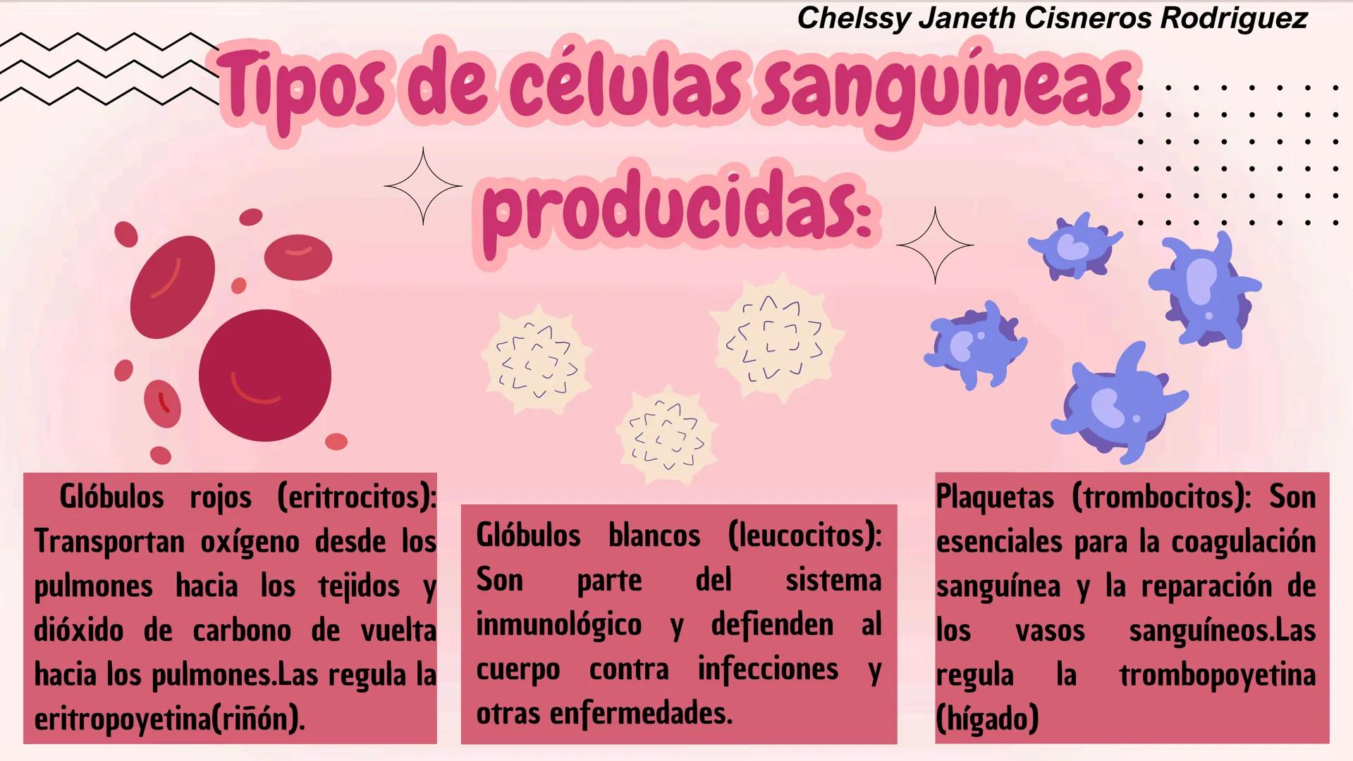 # HEMATOPOYESIS
EQUIPO #3 # Chelssy Janeth Cisneros Rodriguez
¿Qué es la
Hematopoyesis? Chelssy Janeth Cisneros Rodriguez
¿Qué es la Hema