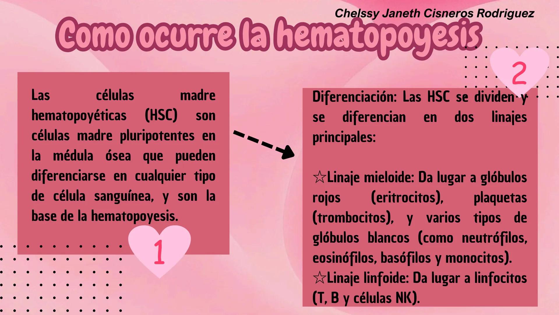 # HEMATOPOYESIS
EQUIPO #3 # Chelssy Janeth Cisneros Rodriguez
¿Qué es la
Hematopoyesis? Chelssy Janeth Cisneros Rodriguez
¿Qué es la Hema