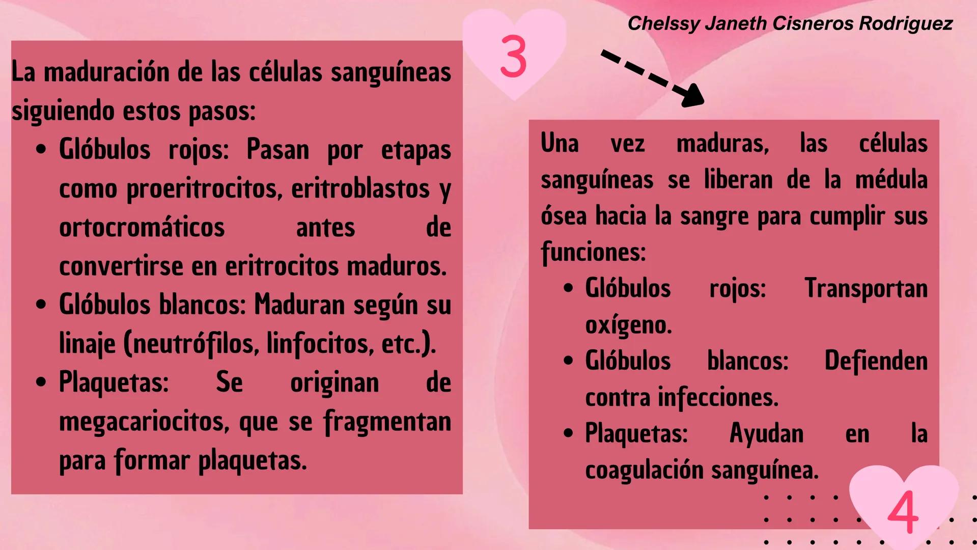 # HEMATOPOYESIS
EQUIPO #3 # Chelssy Janeth Cisneros Rodriguez
¿Qué es la
Hematopoyesis? Chelssy Janeth Cisneros Rodriguez
¿Qué es la Hema