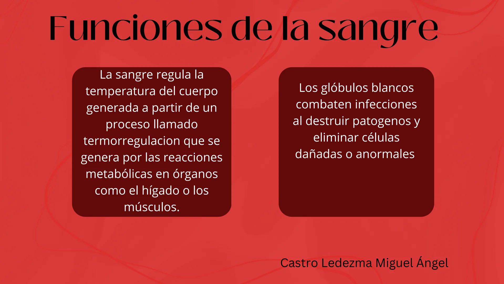 # Sangre
EQUIPΟ ΝΟ.2
INTEGRANTES
* ALMAZAN PUEBLA ANALUIZA.
* ARGUELLO ALVARADO EDUARDO.
* BALLINA VEGA LINETH ANAHI.
* CASTRO LEDEZMA MIGUE
