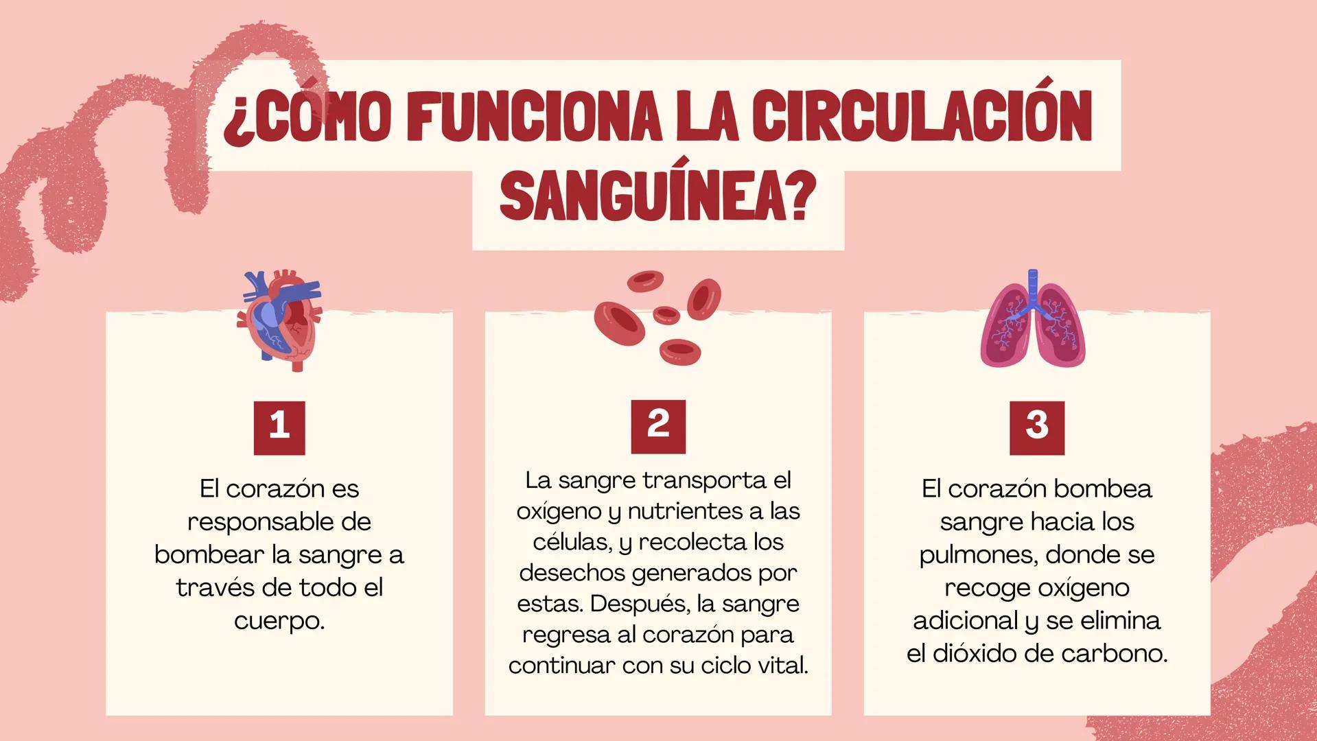 # Sangre
EQUIPΟ ΝΟ.2
INTEGRANTES
* ALMAZAN PUEBLA ANALUIZA.
* ARGUELLO ALVARADO EDUARDO.
* BALLINA VEGA LINETH ANAHI.
* CASTRO LEDEZMA MIGUE