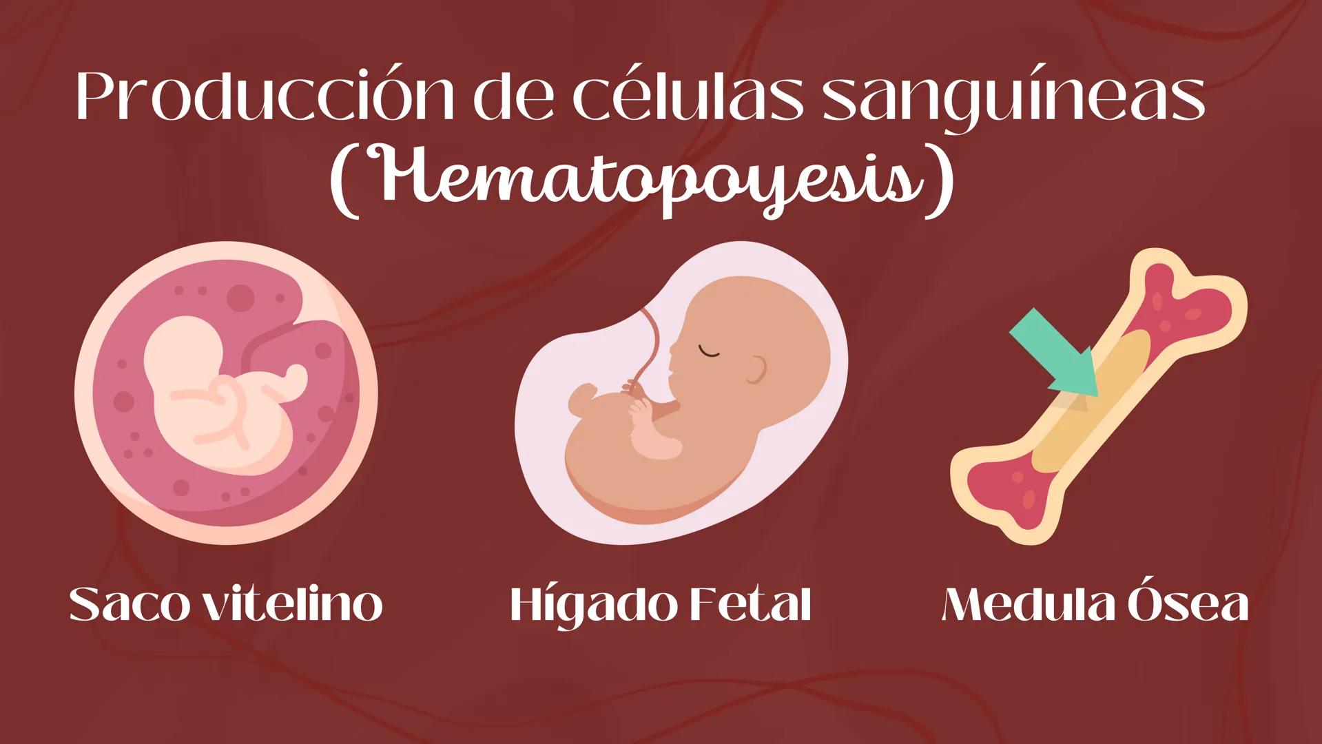 # Sangre
EQUIPΟ ΝΟ.2
INTEGRANTES
* ALMAZAN PUEBLA ANALUIZA.
* ARGUELLO ALVARADO EDUARDO.
* BALLINA VEGA LINETH ANAHI.
* CASTRO LEDEZMA MIGUE