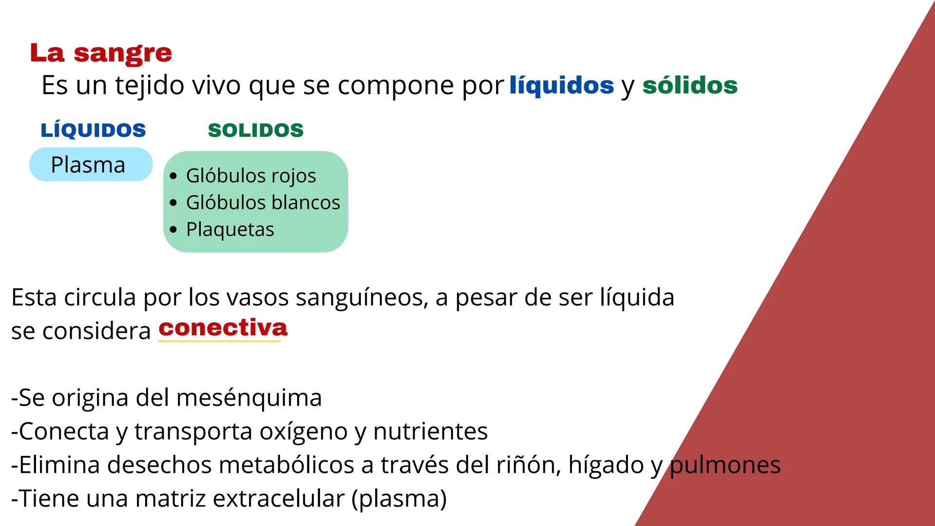 # Sangre
EQUIPΟ ΝΟ.2
INTEGRANTES
* ALMAZAN PUEBLA ANALUIZA.
* ARGUELLO ALVARADO EDUARDO.
* BALLINA VEGA LINETH ANAHI.
* CASTRO LEDEZMA MIGUE