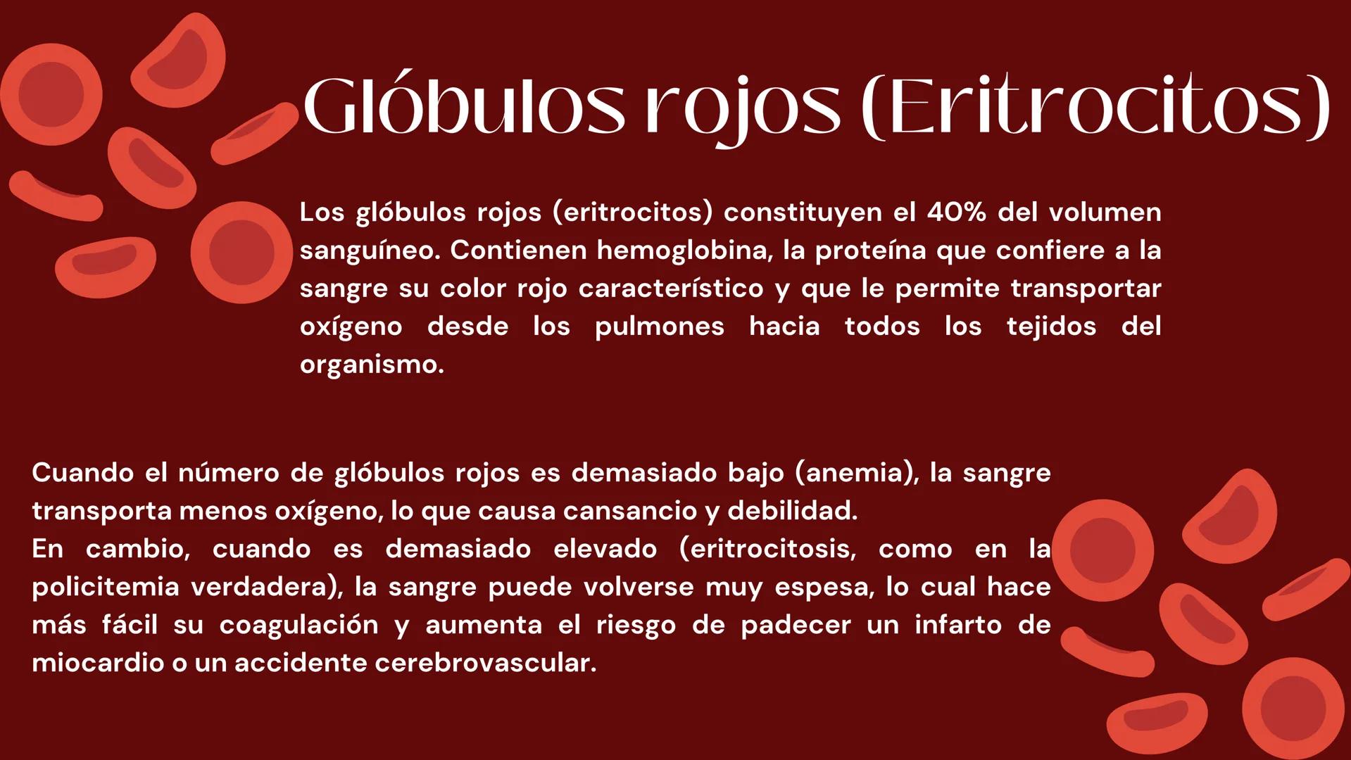 # Sangre
EQUIPΟ ΝΟ.2
INTEGRANTES
* ALMAZAN PUEBLA ANALUIZA.
* ARGUELLO ALVARADO EDUARDO.
* BALLINA VEGA LINETH ANAHI.
* CASTRO LEDEZMA MIGUE