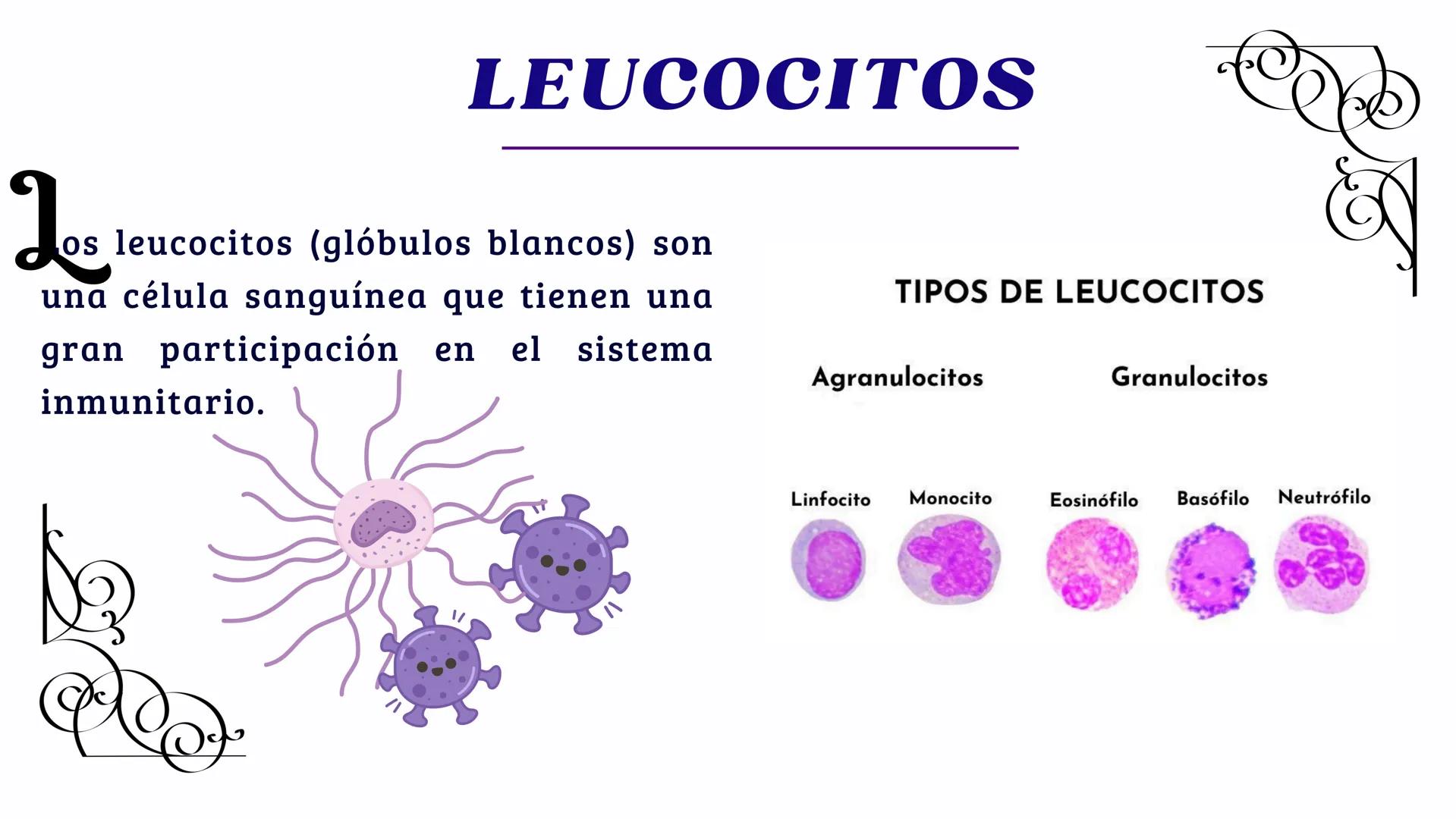 # Sangre
EQUIPΟ ΝΟ.2
INTEGRANTES
* ALMAZAN PUEBLA ANALUIZA.
* ARGUELLO ALVARADO EDUARDO.
* BALLINA VEGA LINETH ANAHI.
* CASTRO LEDEZMA MIGUE