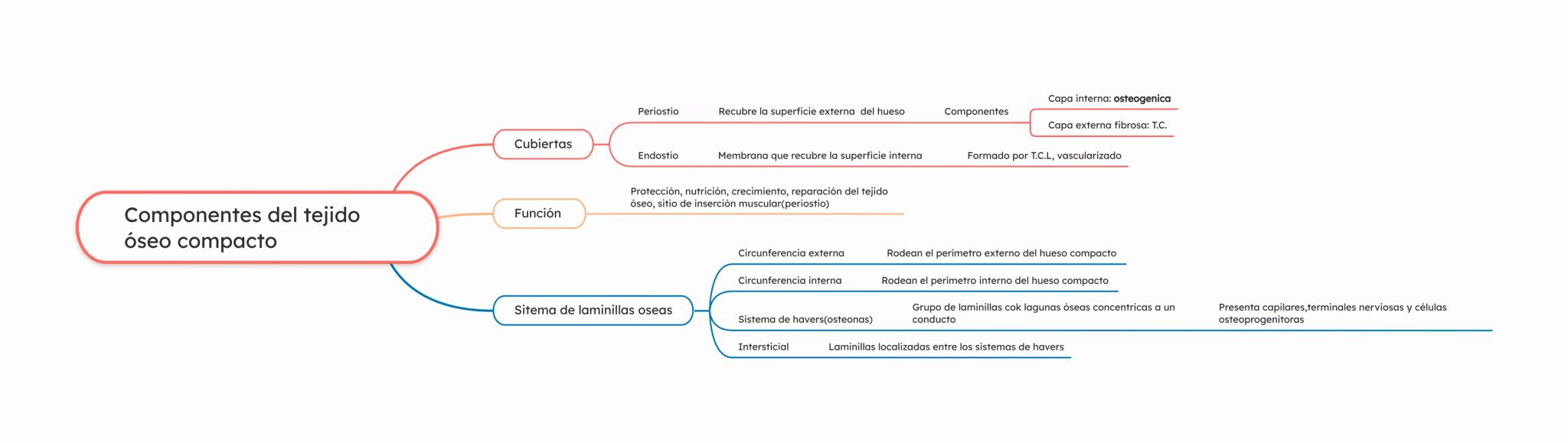 Periostio
Recubre la superficie externa del hueso
Componentes
Capa interna: osteogenica
Capa externa fibrosa: T.C.
Cubiertas
Endostio
Membra