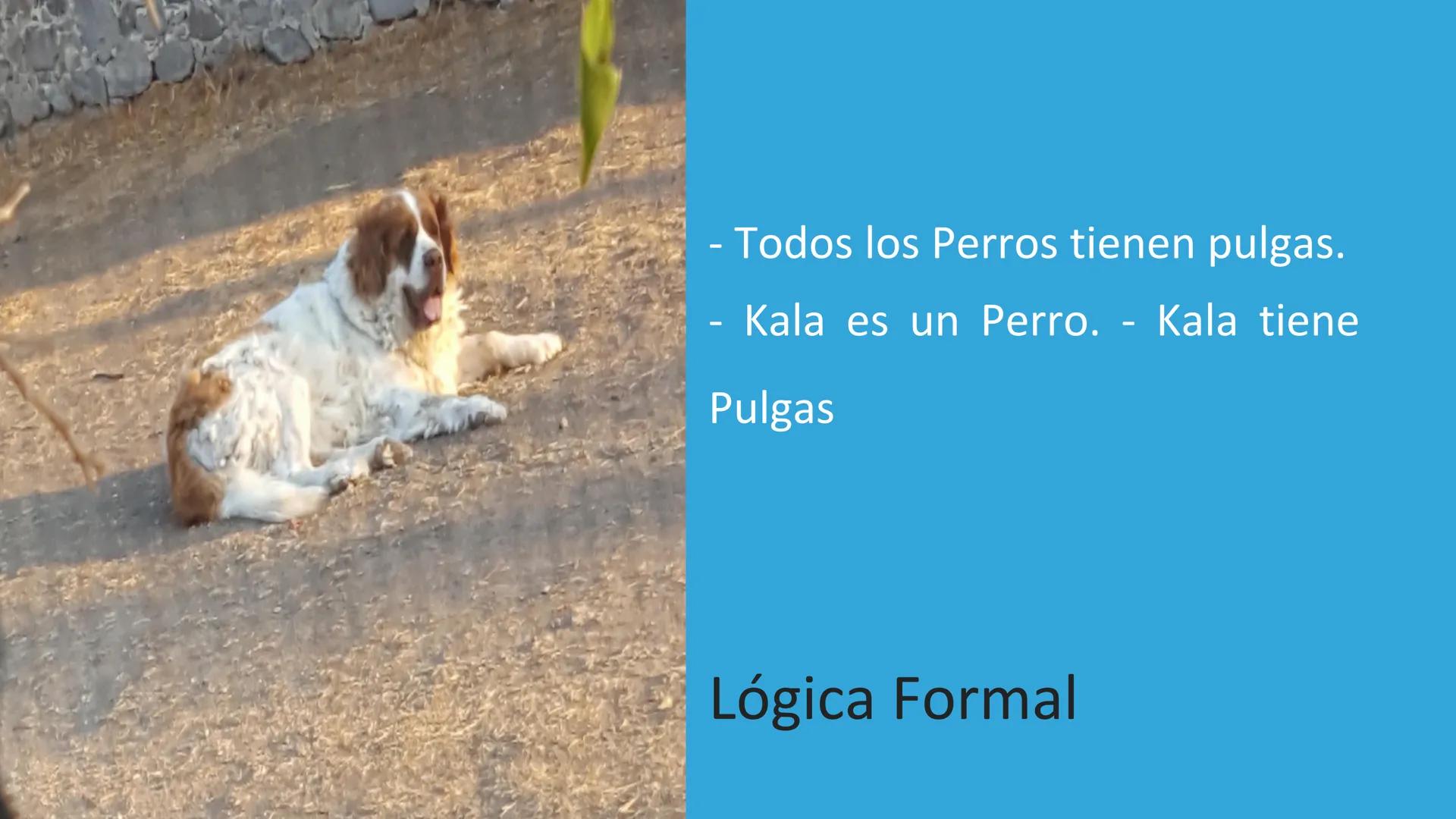 LÓGICA Y TEORIA DE CONJUNTOS
¿QUÉ ES LA LOGICA?
1
La lógica, en su esencia, se adentra en el análisis y la comprensión de cómo nuestro
pe