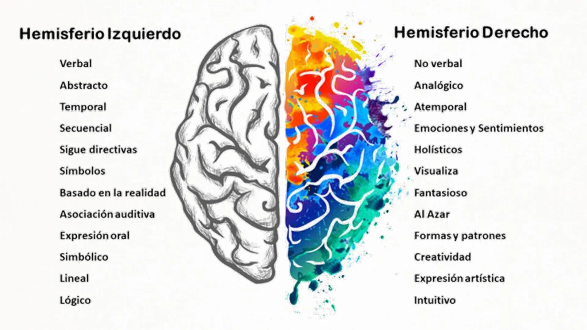 Sistema Nervioso Neurotransmisor responsable de la sinapsis
neuronal:
a) Mielina
b) Epinefrina
c) Acetilcolina # Clase:
Sistema Nervioso
#