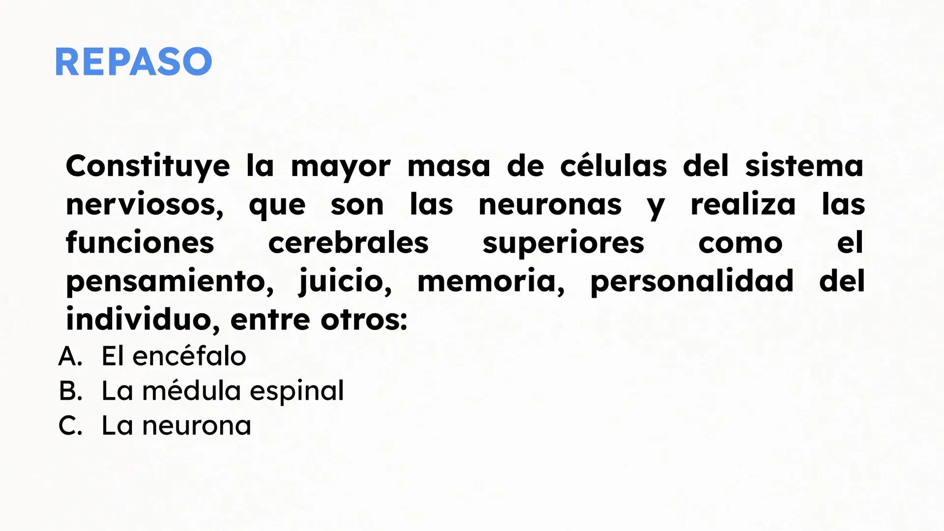 Sistema Nervioso Neurotransmisor responsable de la sinapsis
neuronal:
a) Mielina
b) Epinefrina
c) Acetilcolina # Clase:
Sistema Nervioso
#