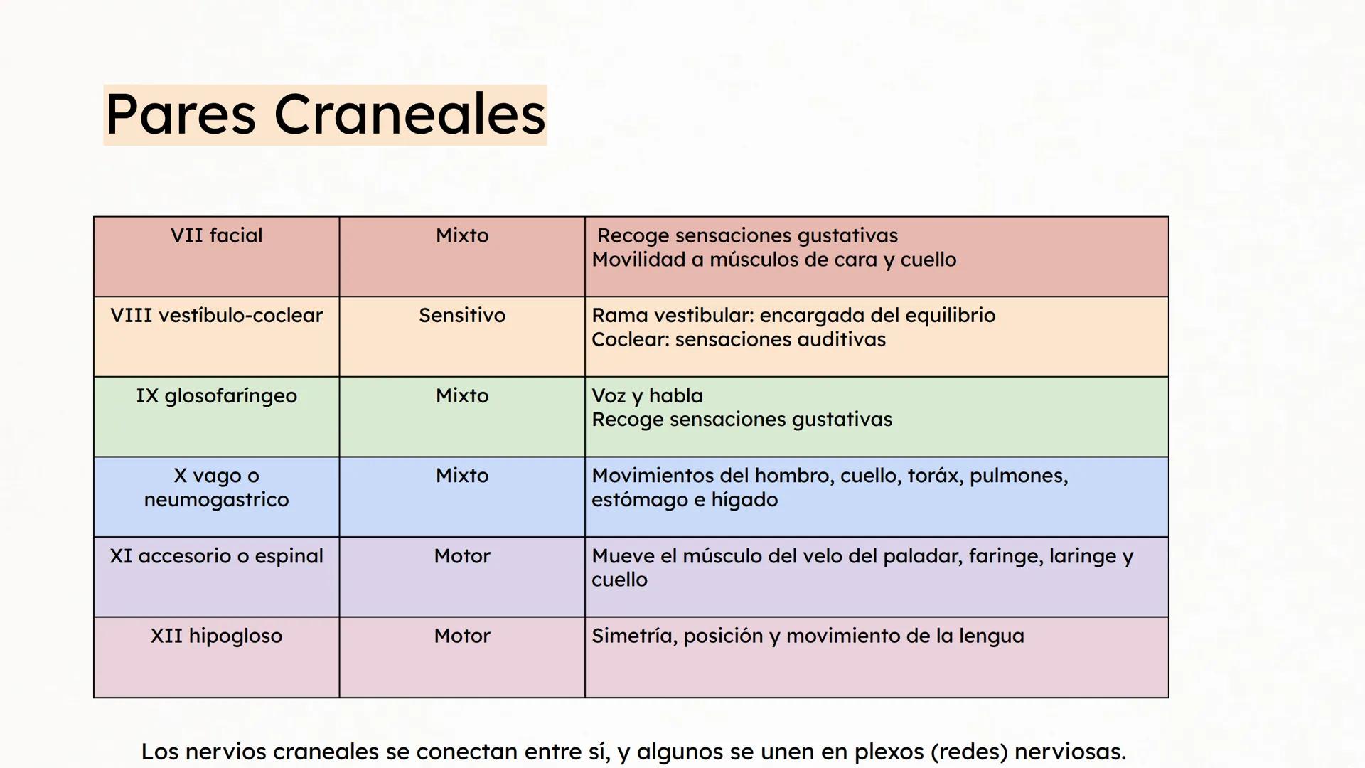 Sistema Nervioso Neurotransmisor responsable de la sinapsis
neuronal:
a) Mielina
b) Epinefrina
c) Acetilcolina # Clase:
Sistema Nervioso
#