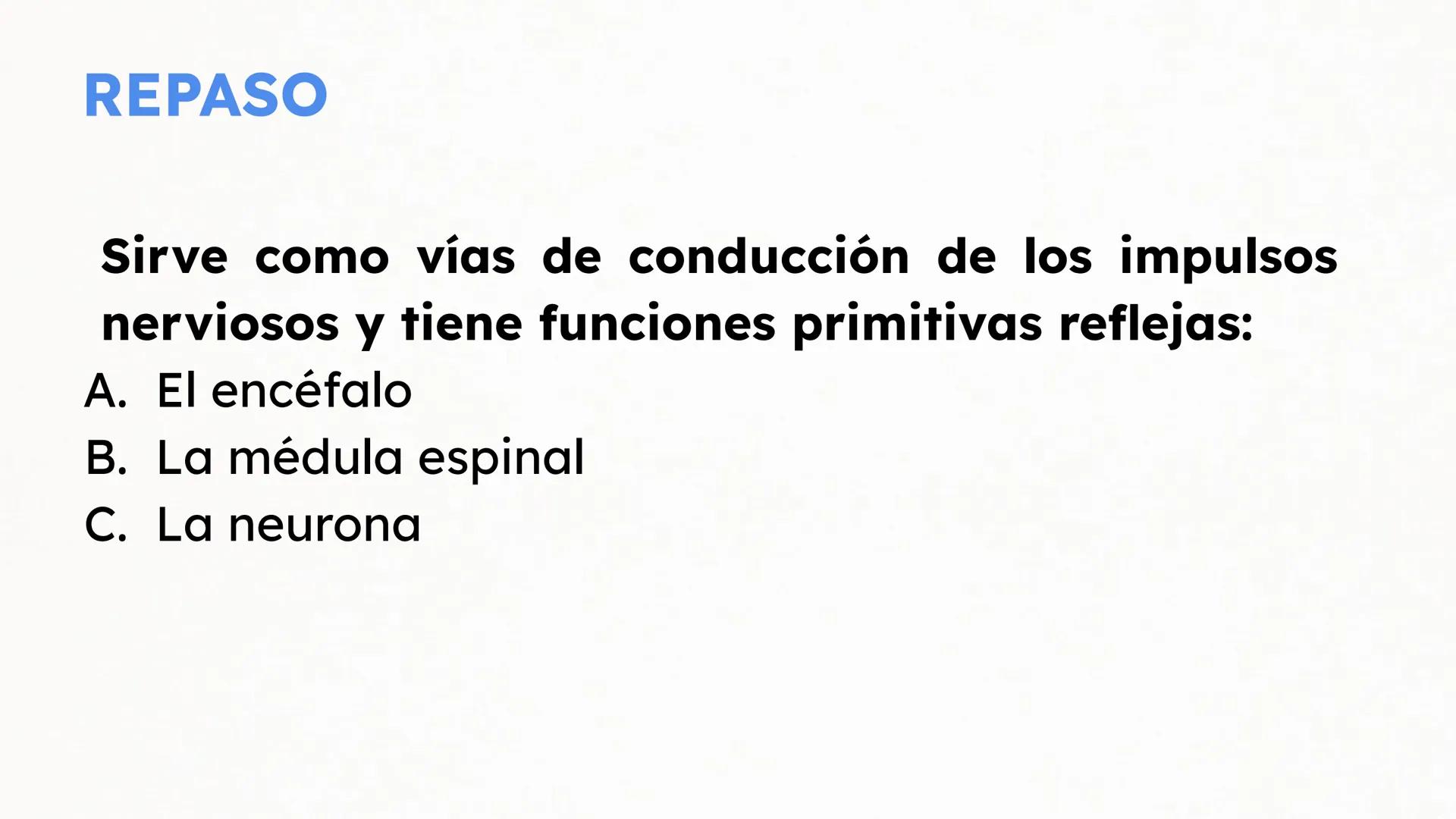 Sistema Nervioso Neurotransmisor responsable de la sinapsis
neuronal:
a) Mielina
b) Epinefrina
c) Acetilcolina # Clase:
Sistema Nervioso
#
