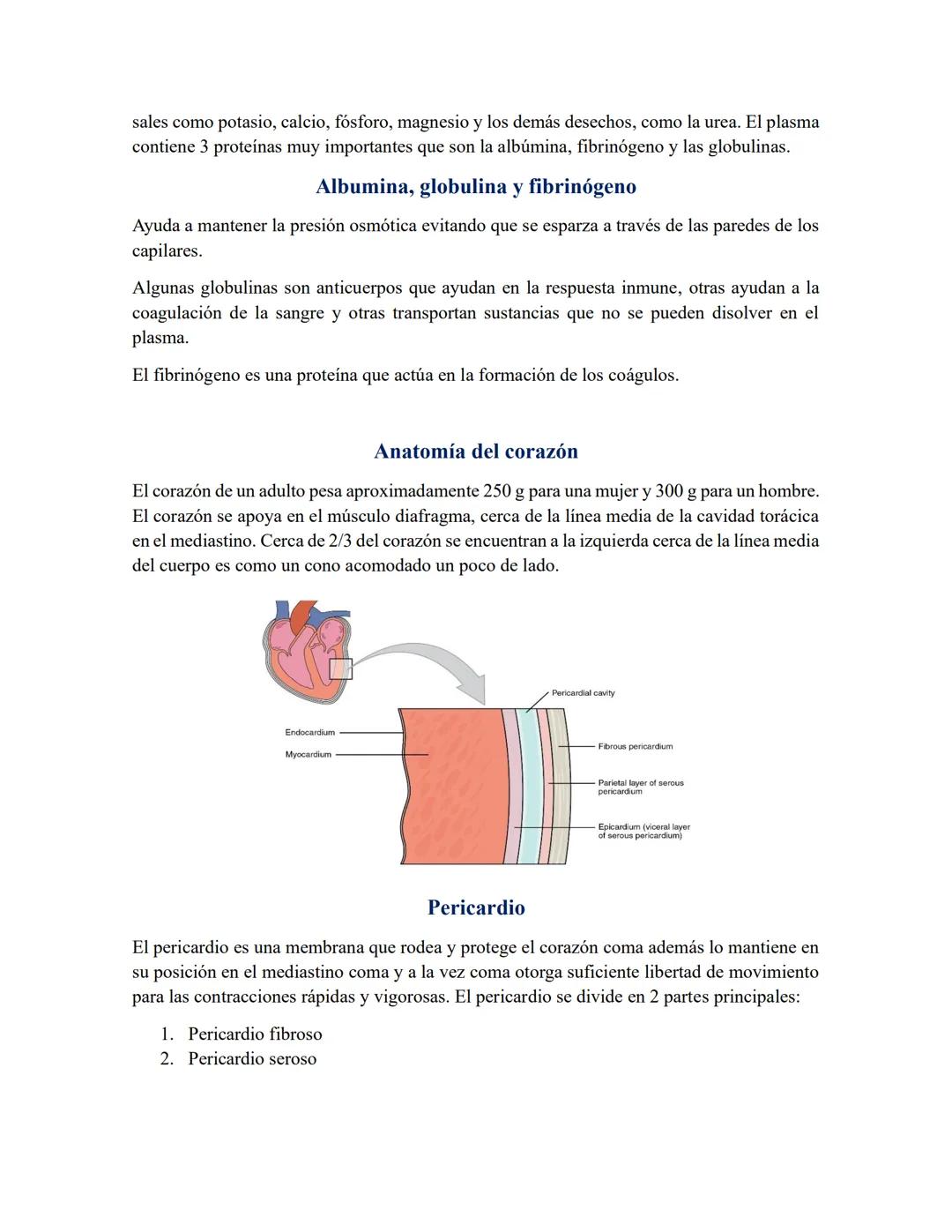 # Aparato circulatorio
La sangre, el corazón y los vasos sanguíneos componen el sistema circulatorio, cuyas
funciones son las siguientes.