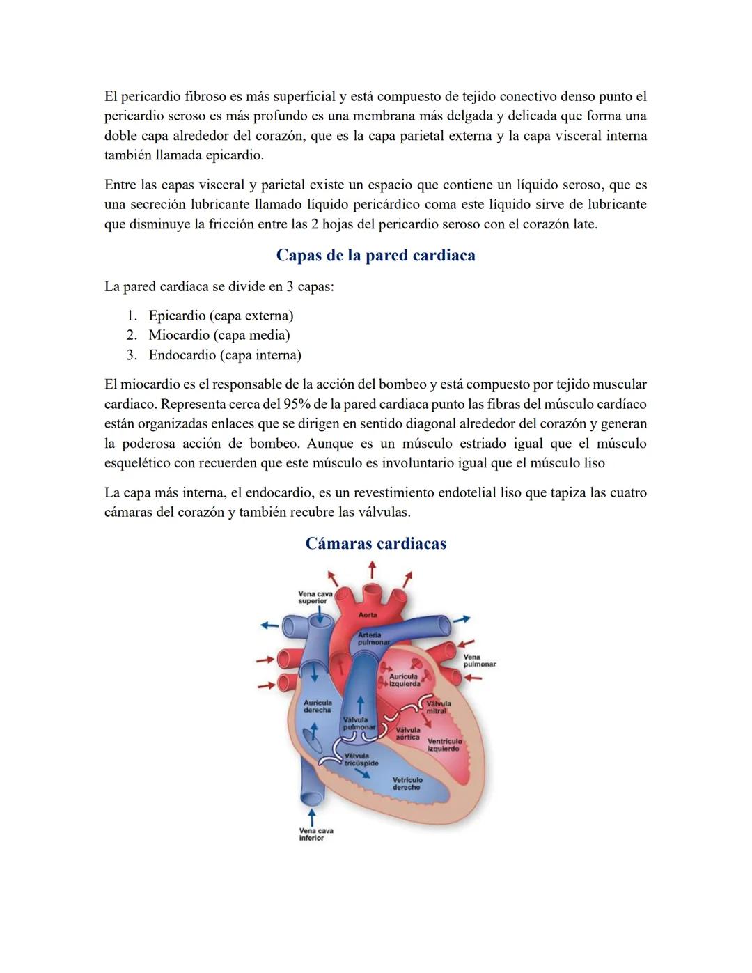 # Aparato circulatorio
La sangre, el corazón y los vasos sanguíneos componen el sistema circulatorio, cuyas
funciones son las siguientes.