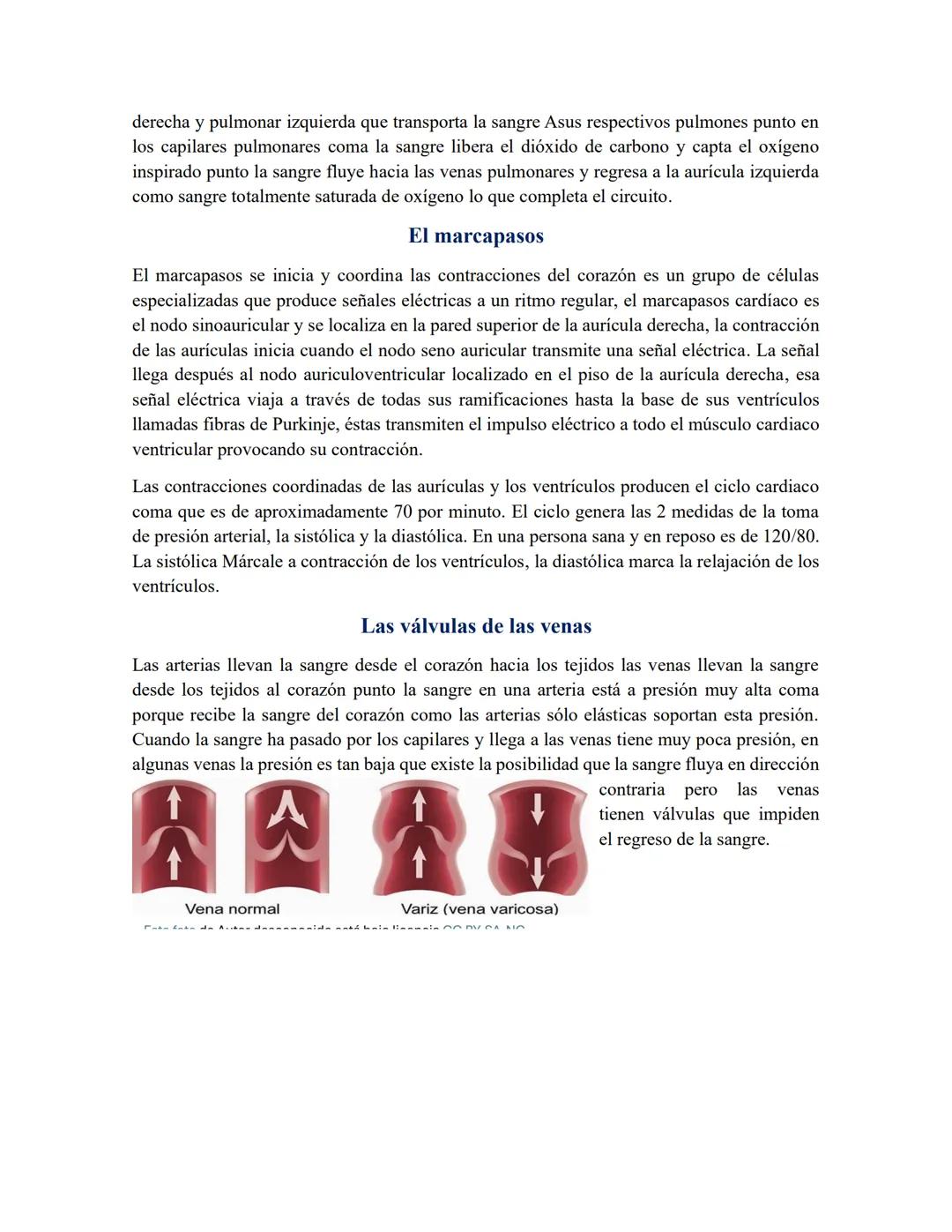 # Aparato circulatorio
La sangre, el corazón y los vasos sanguíneos componen el sistema circulatorio, cuyas
funciones son las siguientes.