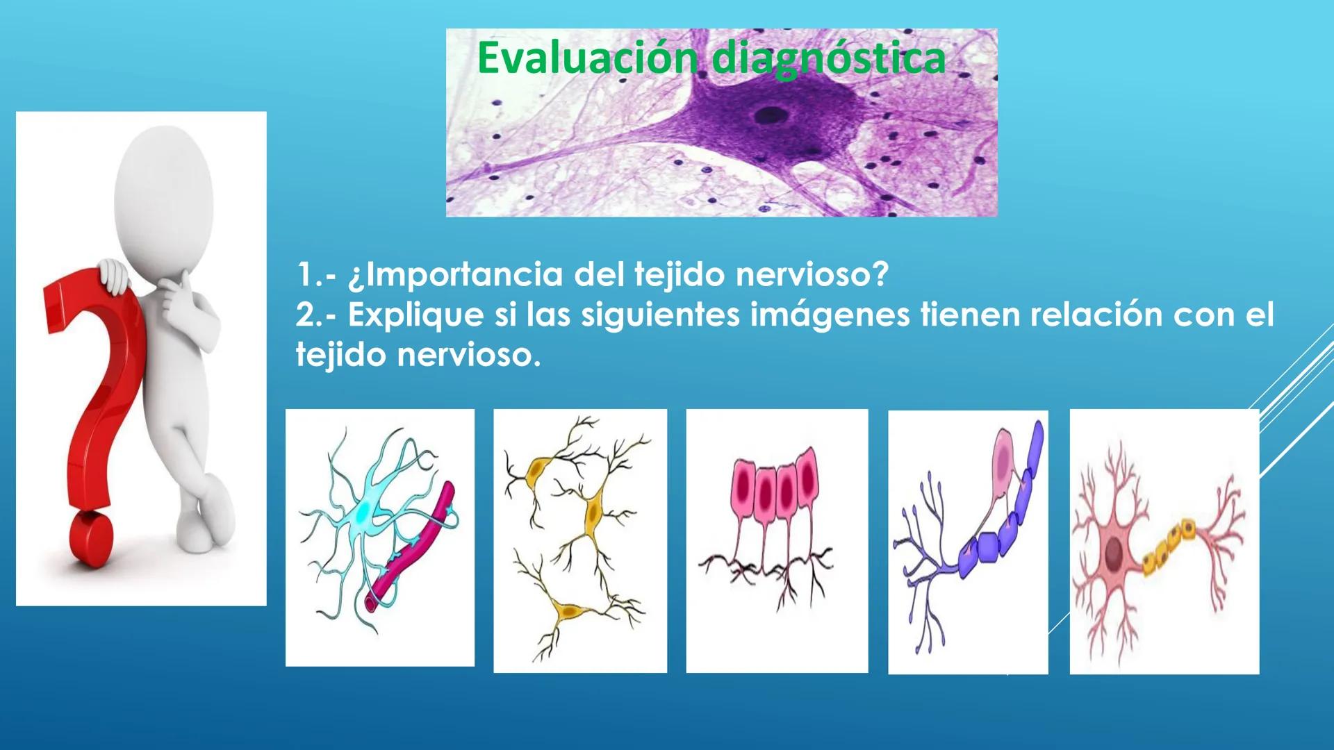 BLOQUE I. Distingue la estructura y las funciones básicas de los
seres vivos
TEJIDO NERVIOSO
Trend
PROPÓSITO: Comprende la ubicación, estruc