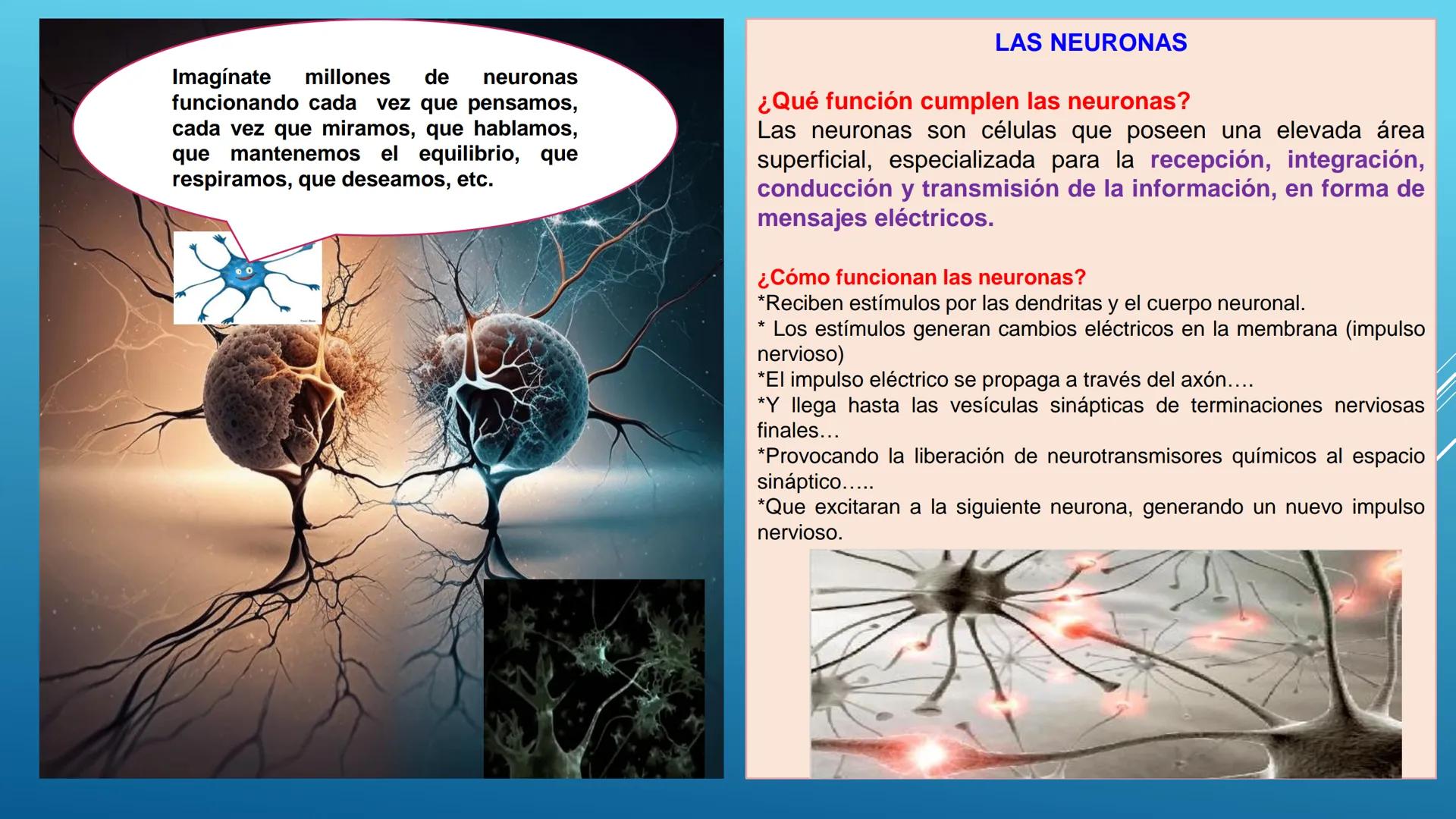 BLOQUE I. Distingue la estructura y las funciones básicas de los
seres vivos
TEJIDO NERVIOSO
Trend
PROPÓSITO: Comprende la ubicación, estruc