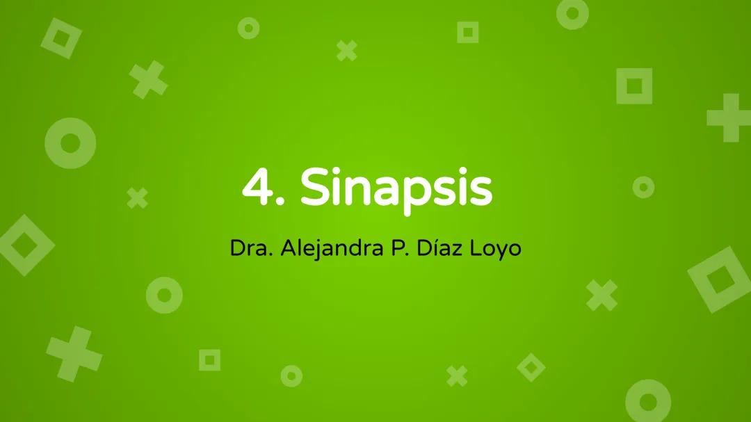 Tipos de Sinapsis: Química y Eléctrica