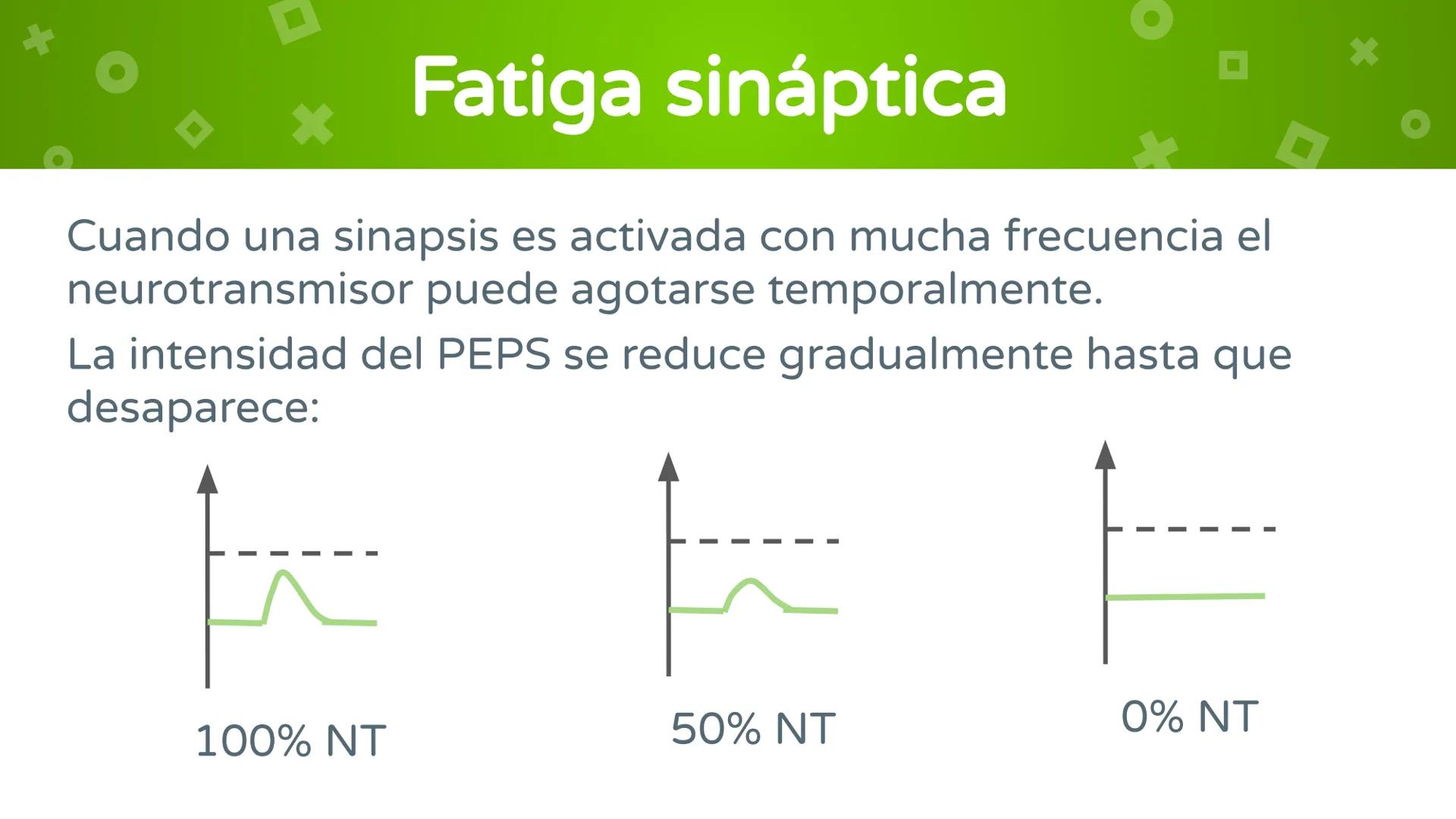 # 4. Sinapsis
Dra. Alejandra P. Díaz Loyo Esta presentación fue elaborada por AP Díaz Loyo y se
comparte exclusivamente para que los estudi