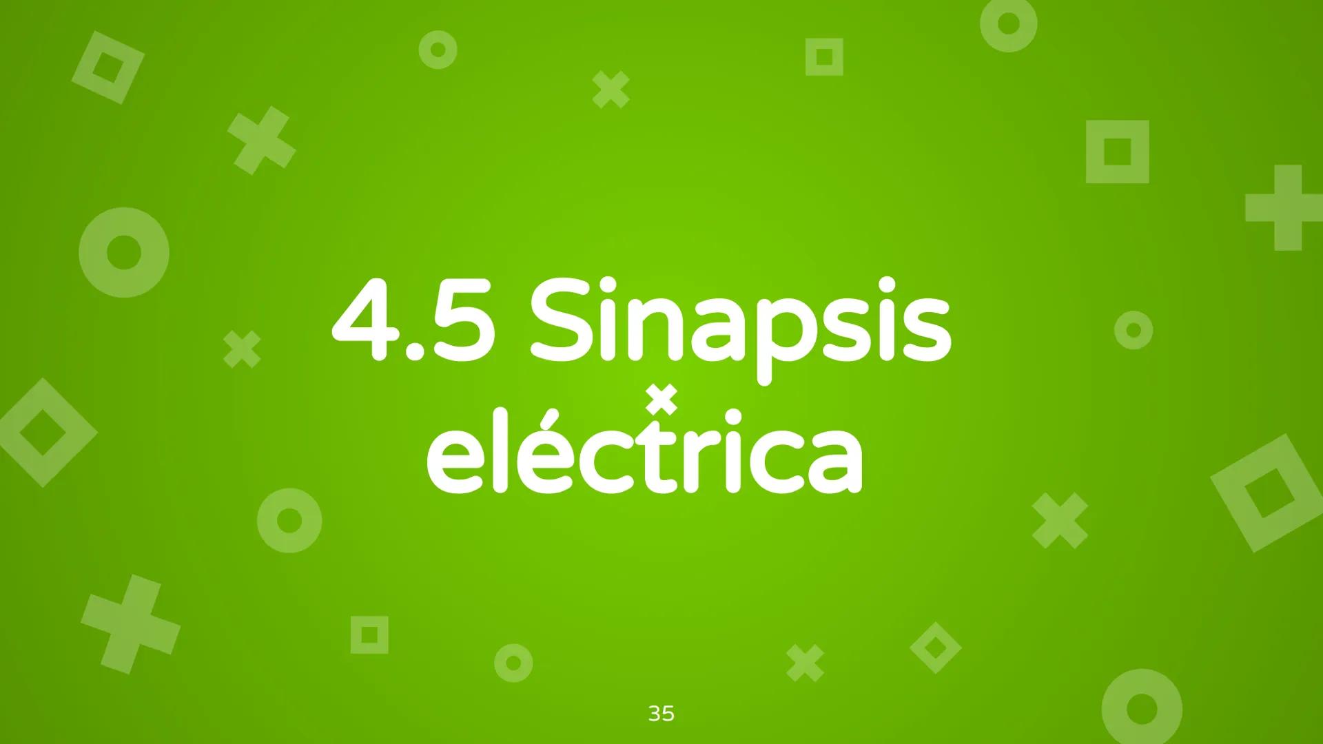 # 4. Sinapsis
Dra. Alejandra P. Díaz Loyo Esta presentación fue elaborada por AP Díaz Loyo y se
comparte exclusivamente para que los estudi
