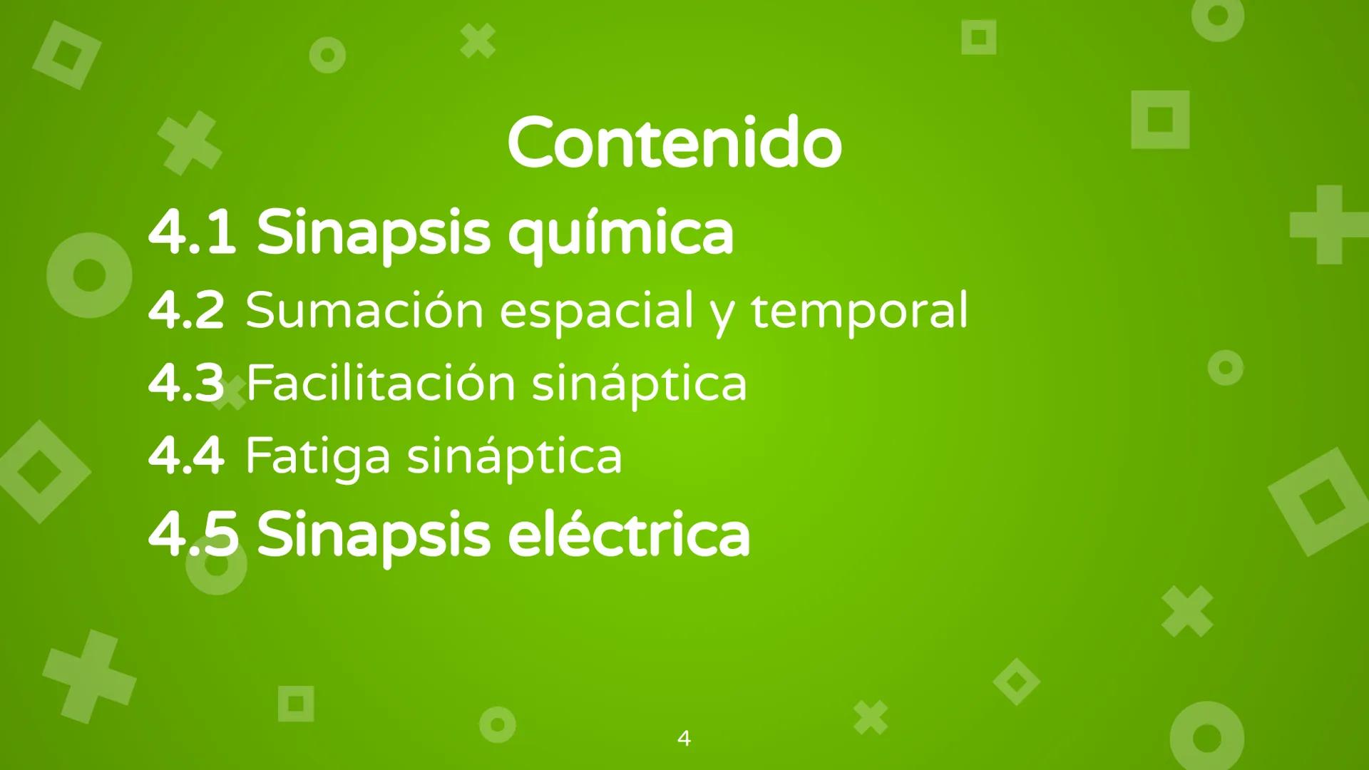 # 4. Sinapsis
Dra. Alejandra P. Díaz Loyo Esta presentación fue elaborada por AP Díaz Loyo y se
comparte exclusivamente para que los estudi