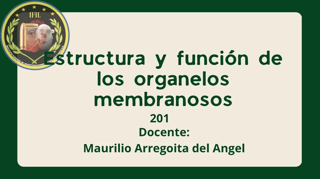 Estructura y función de los órganos Membranosos