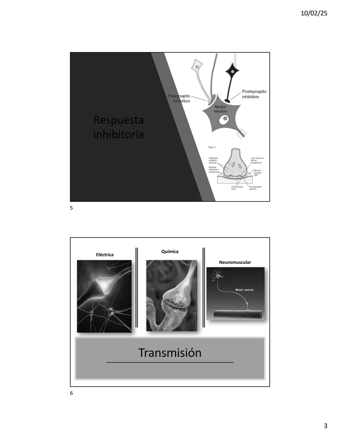 10/02/25
Transmisión sináptica
Clasificación
• Morfología
• Respuesta postsináptica
• Forma de la transmisión
2
1 10/02/25
3
CAxoax