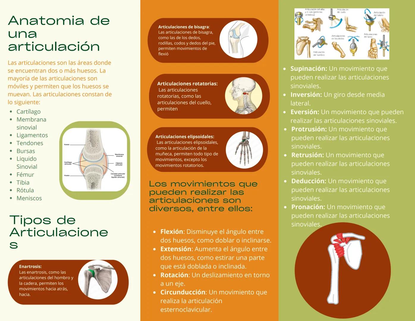 # ARTICUL
ACIONES
Higiene
• Mantenerse activo físicamente
• Mantener un peso corporal
adecuado
• Llevar una dieta saludable y
equilibrada
