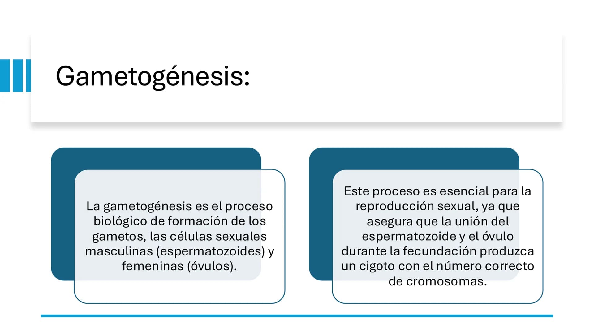 MNC Patricia Tapia
Estructura y función humana
☐ Desarrollo
embionario
Cigoto
Embrión
día 2
Embrión
día 3
Mórula
Blastocisto
←
←
←
← # Emb