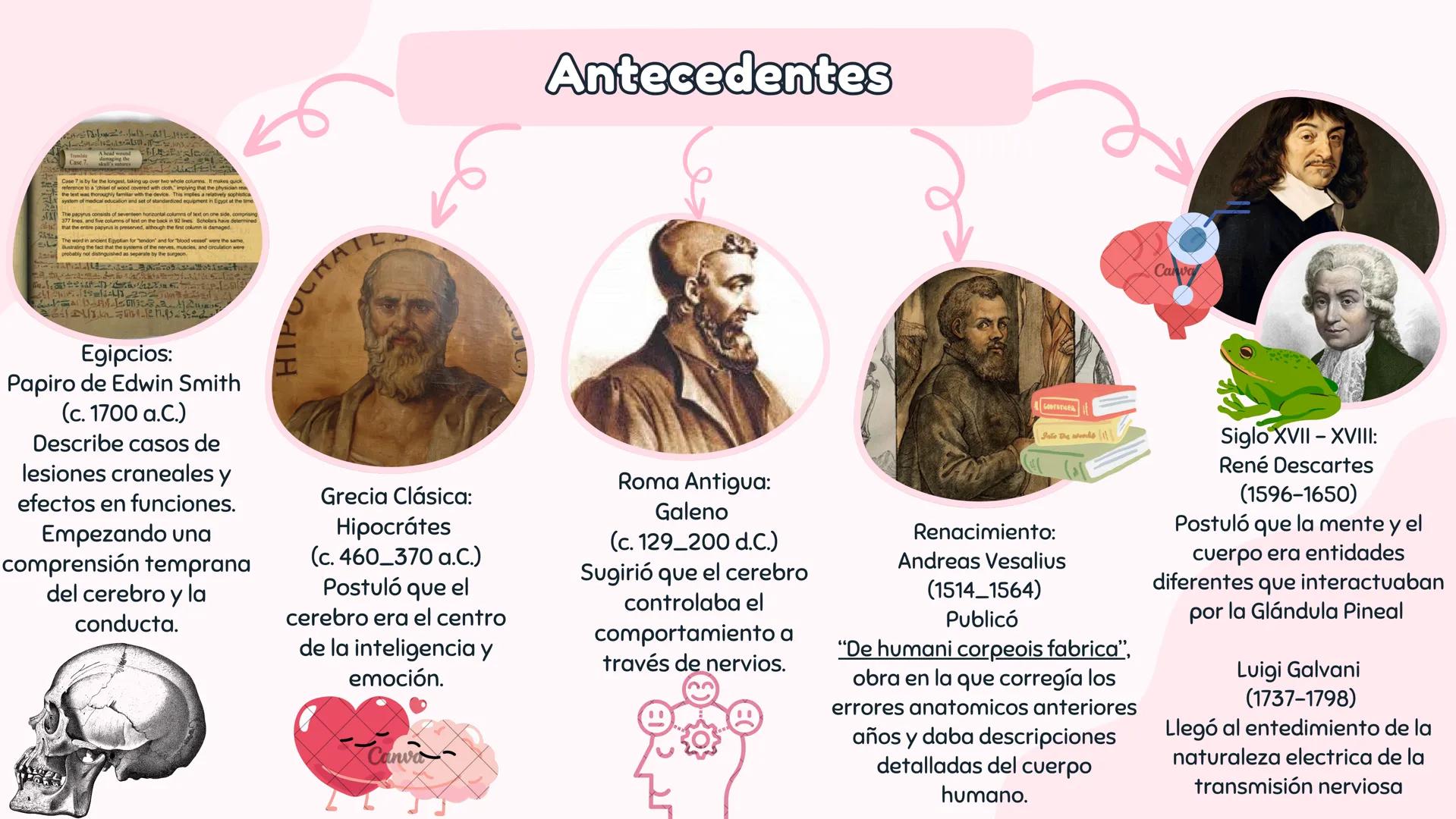# Introducción a antecedentes
# NEUROCIENCIA
COGNITIVA # Antecedentes
Case
Case 7 is by far the longest, taking up over two whole columns