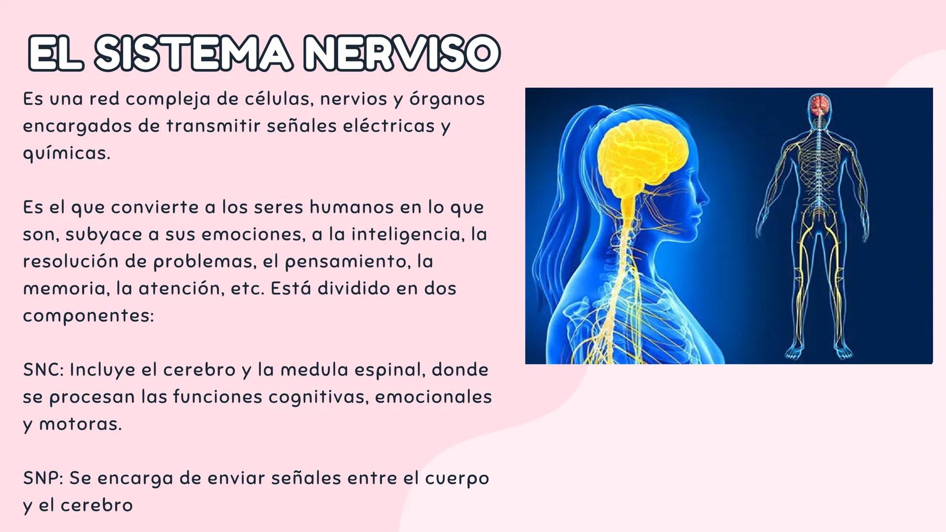 # Introducción a antecedentes
# NEUROCIENCIA
COGNITIVA # Antecedentes
Case
Case 7 is by far the longest, taking up over two whole columns