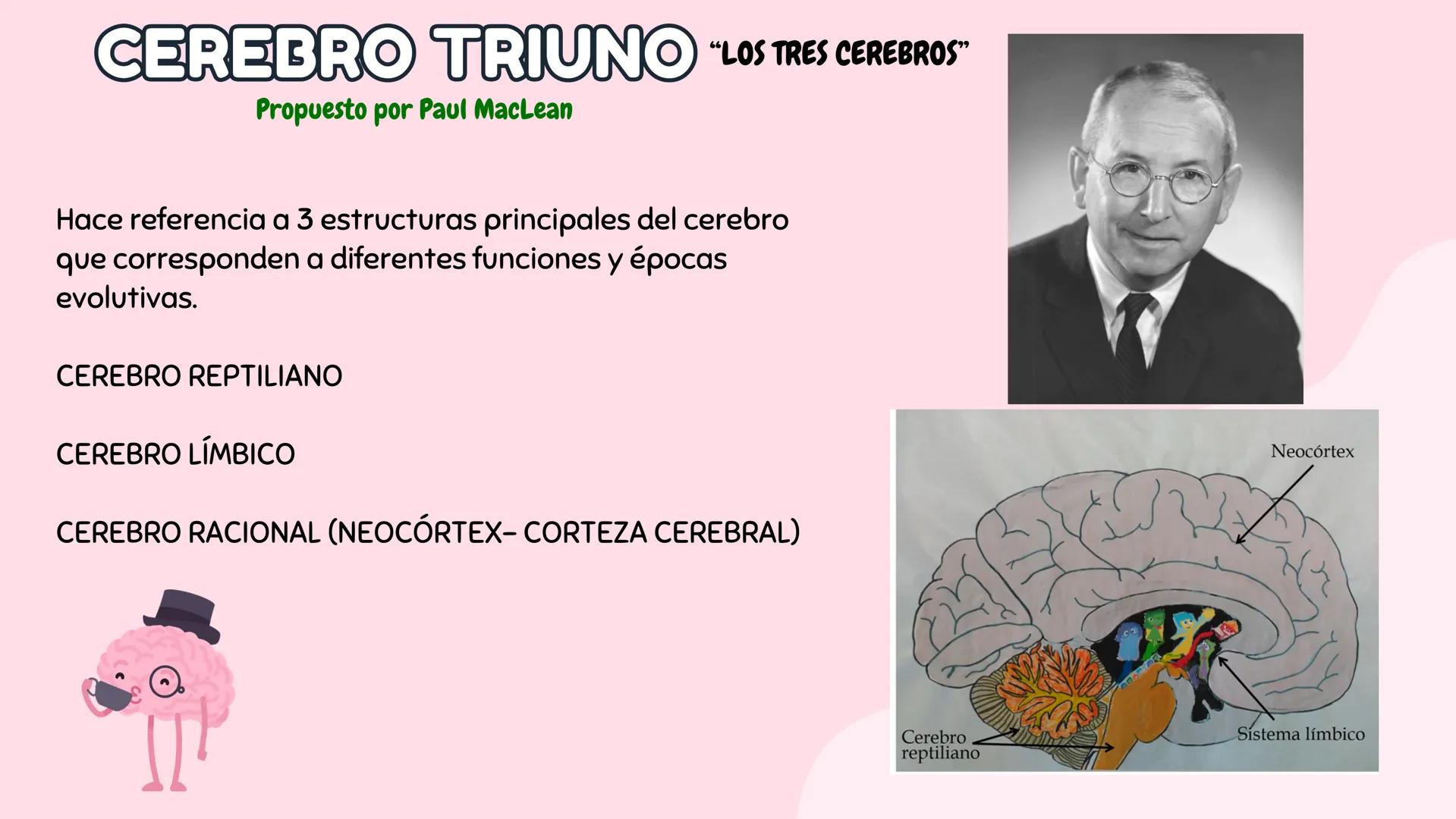 # Introducción a antecedentes
# NEUROCIENCIA
COGNITIVA # Antecedentes
Case
Case 7 is by far the longest, taking up over two whole columns