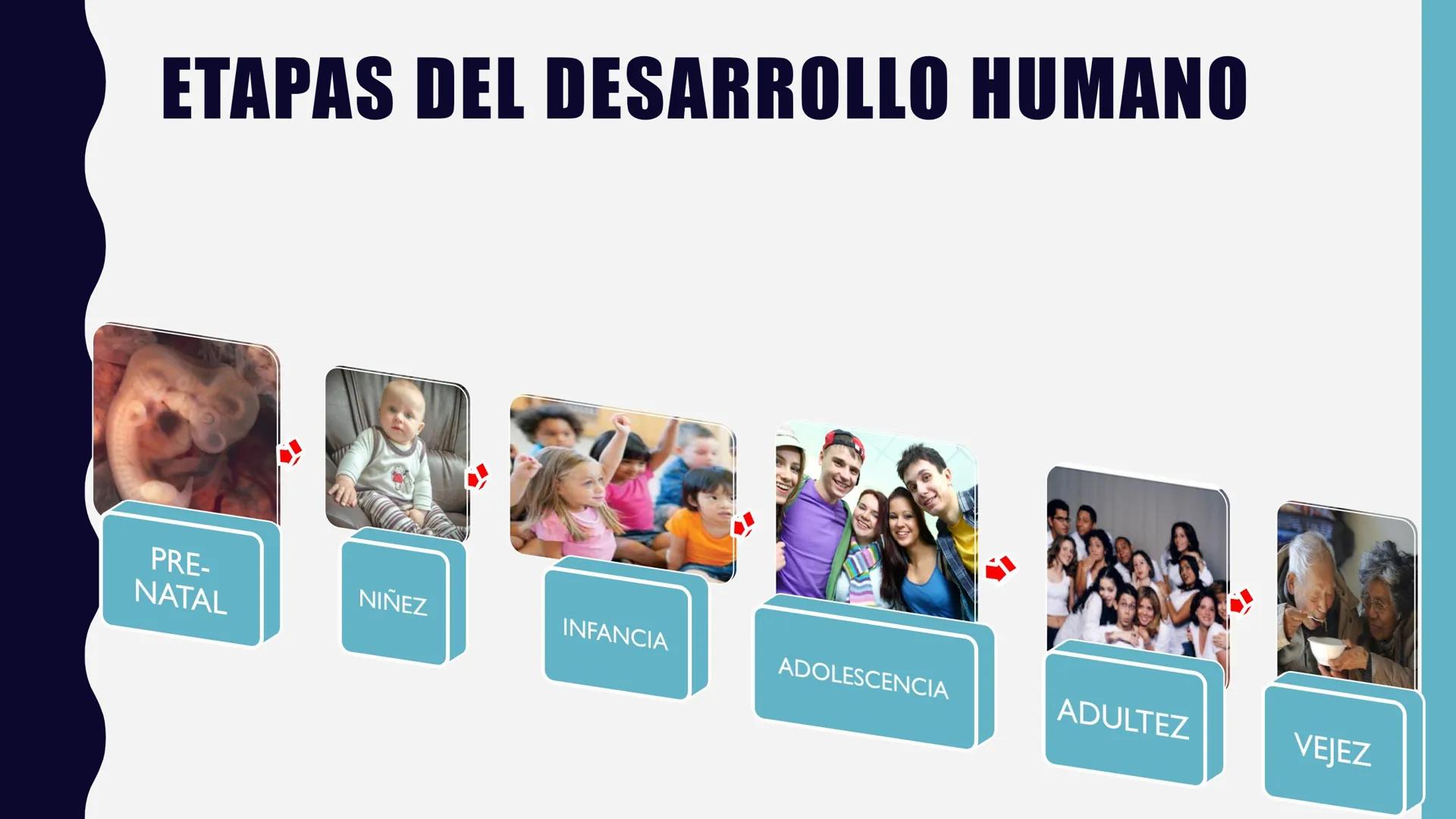 Universidad Mundo Maya
Principio de Grandeza
LICENCIATURA EN
ENFERMERIA
PSIC. RODRIGO DE LOS SANTOS RODRIGUEZ.
CARDENAS, TABASCO JUEVES 20