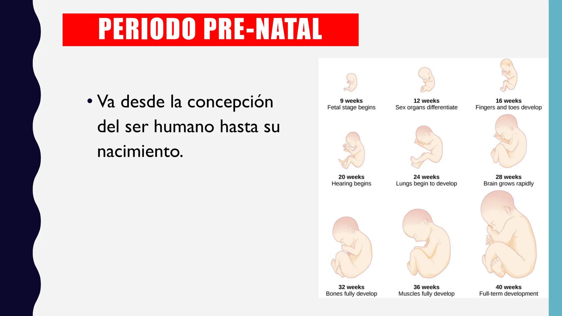 Universidad Mundo Maya
Principio de Grandeza
LICENCIATURA EN
ENFERMERIA
PSIC. RODRIGO DE LOS SANTOS RODRIGUEZ.
CARDENAS, TABASCO JUEVES 20