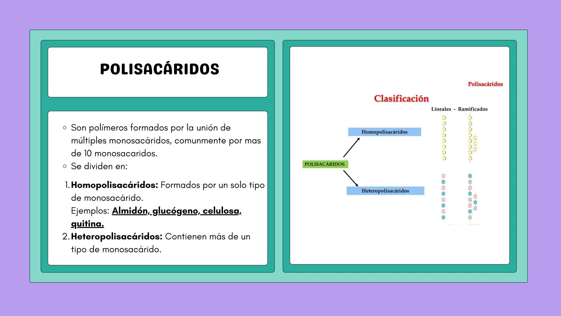 # NUTRICIÓN Y METABOLISMO I
# HIDRATOS DE CARBONO
# GENERALIDADES Y ESTRUCTURAS # ¿QUÉ SON?
Los hidratos de carbono son
compuestos que co