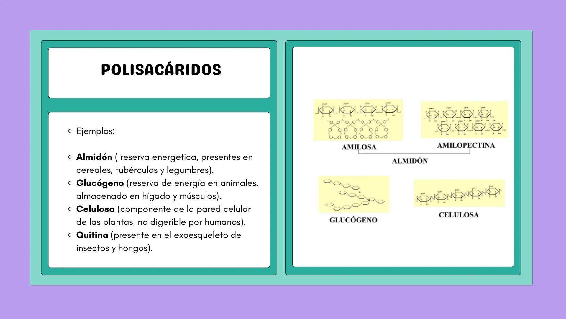 # NUTRICIÓN Y METABOLISMO I
# HIDRATOS DE CARBONO
# GENERALIDADES Y ESTRUCTURAS # ¿QUÉ SON?
Los hidratos de carbono son
compuestos que co