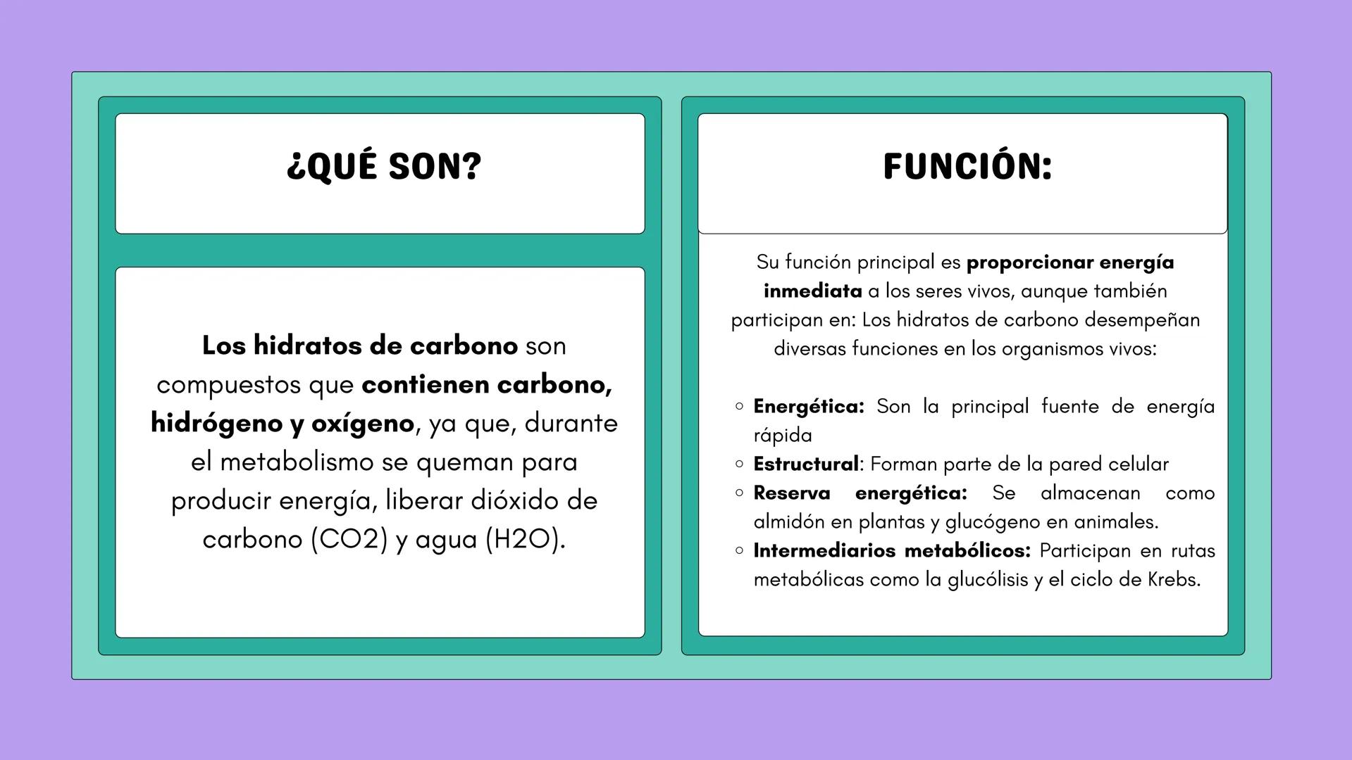 # NUTRICIÓN Y METABOLISMO I
# HIDRATOS DE CARBONO
# GENERALIDADES Y ESTRUCTURAS # ¿QUÉ SON?
Los hidratos de carbono son
compuestos que co