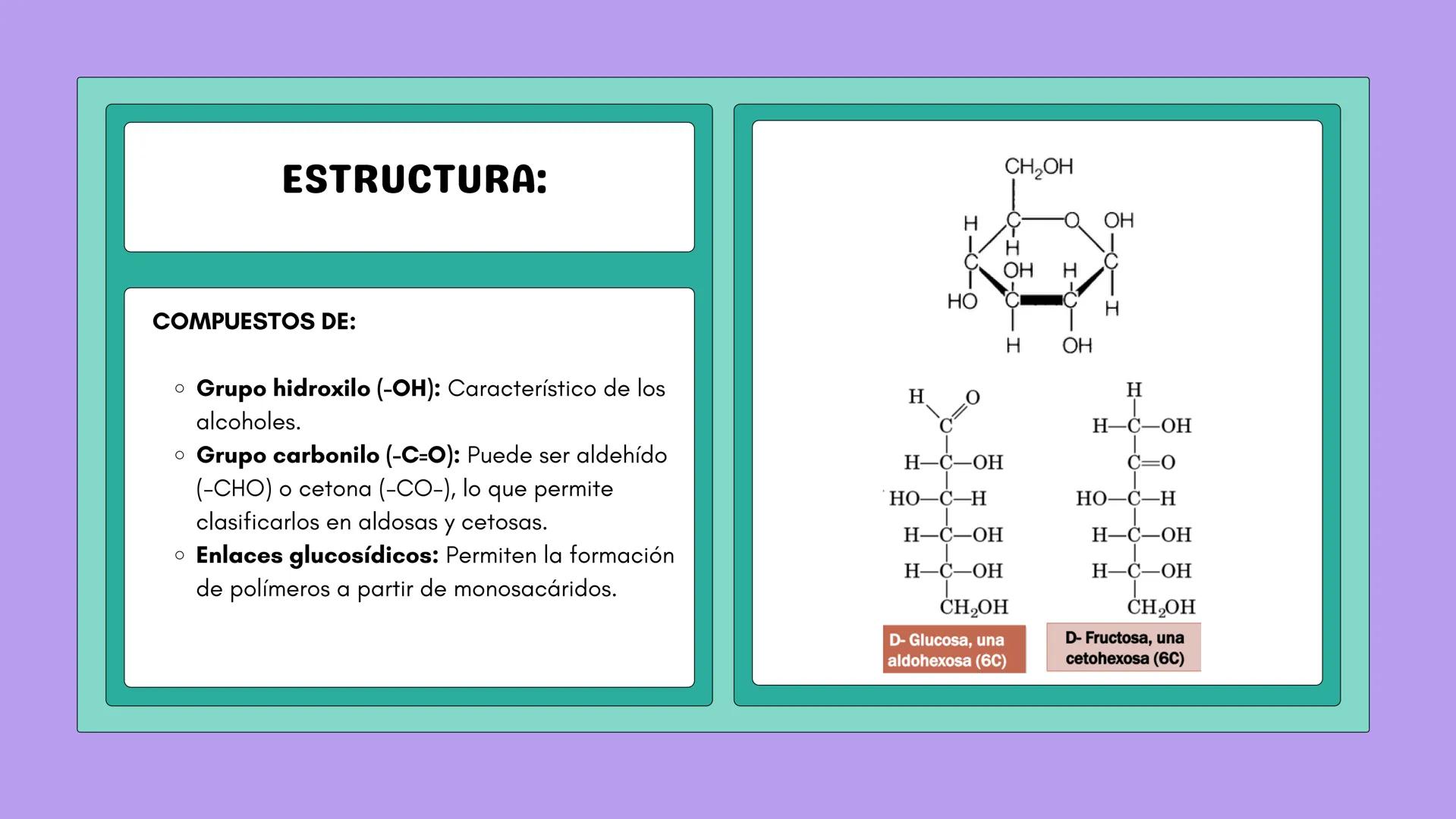 # NUTRICIÓN Y METABOLISMO I
# HIDRATOS DE CARBONO
# GENERALIDADES Y ESTRUCTURAS # ¿QUÉ SON?
Los hidratos de carbono son
compuestos que co
