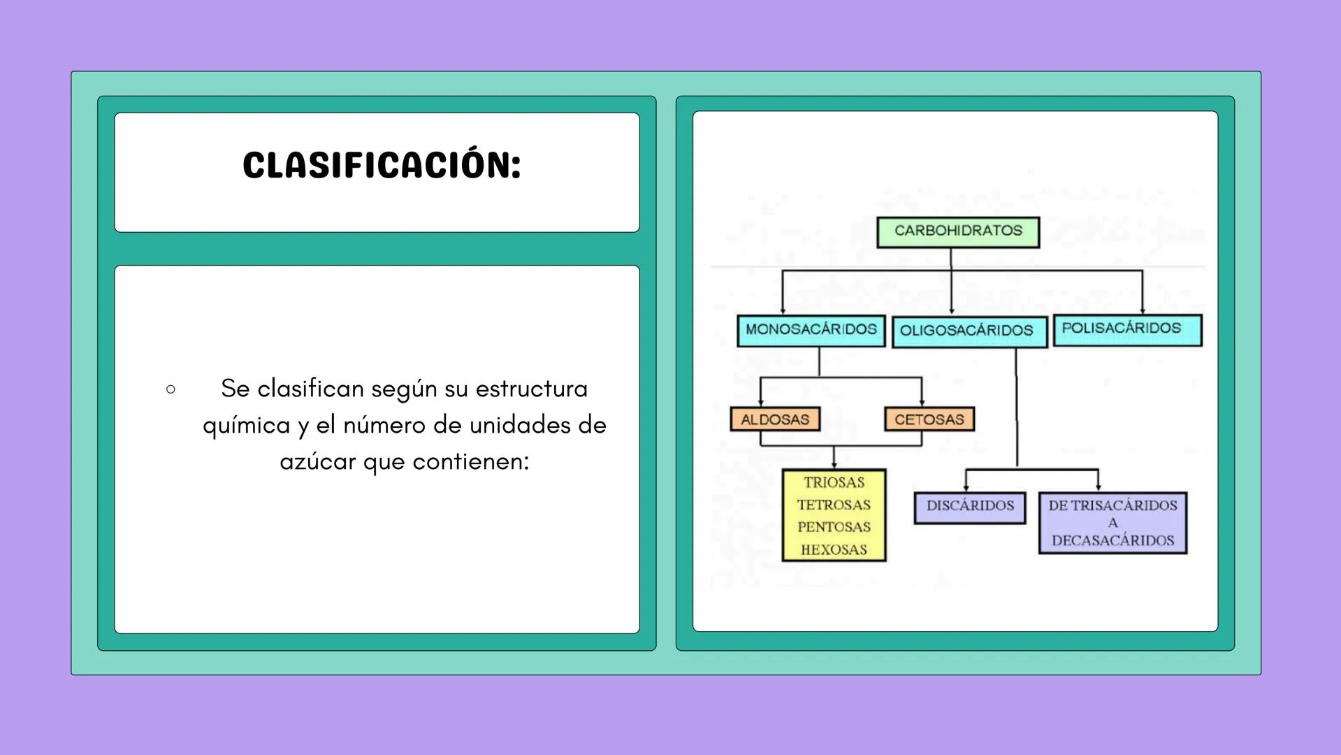 # NUTRICIÓN Y METABOLISMO I
# HIDRATOS DE CARBONO
# GENERALIDADES Y ESTRUCTURAS # ¿QUÉ SON?
Los hidratos de carbono son
compuestos que co