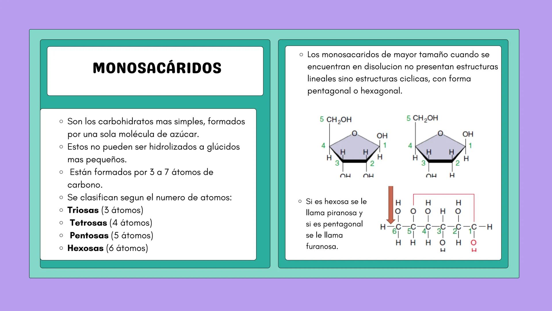 # NUTRICIÓN Y METABOLISMO I
# HIDRATOS DE CARBONO
# GENERALIDADES Y ESTRUCTURAS # ¿QUÉ SON?
Los hidratos de carbono son
compuestos que co