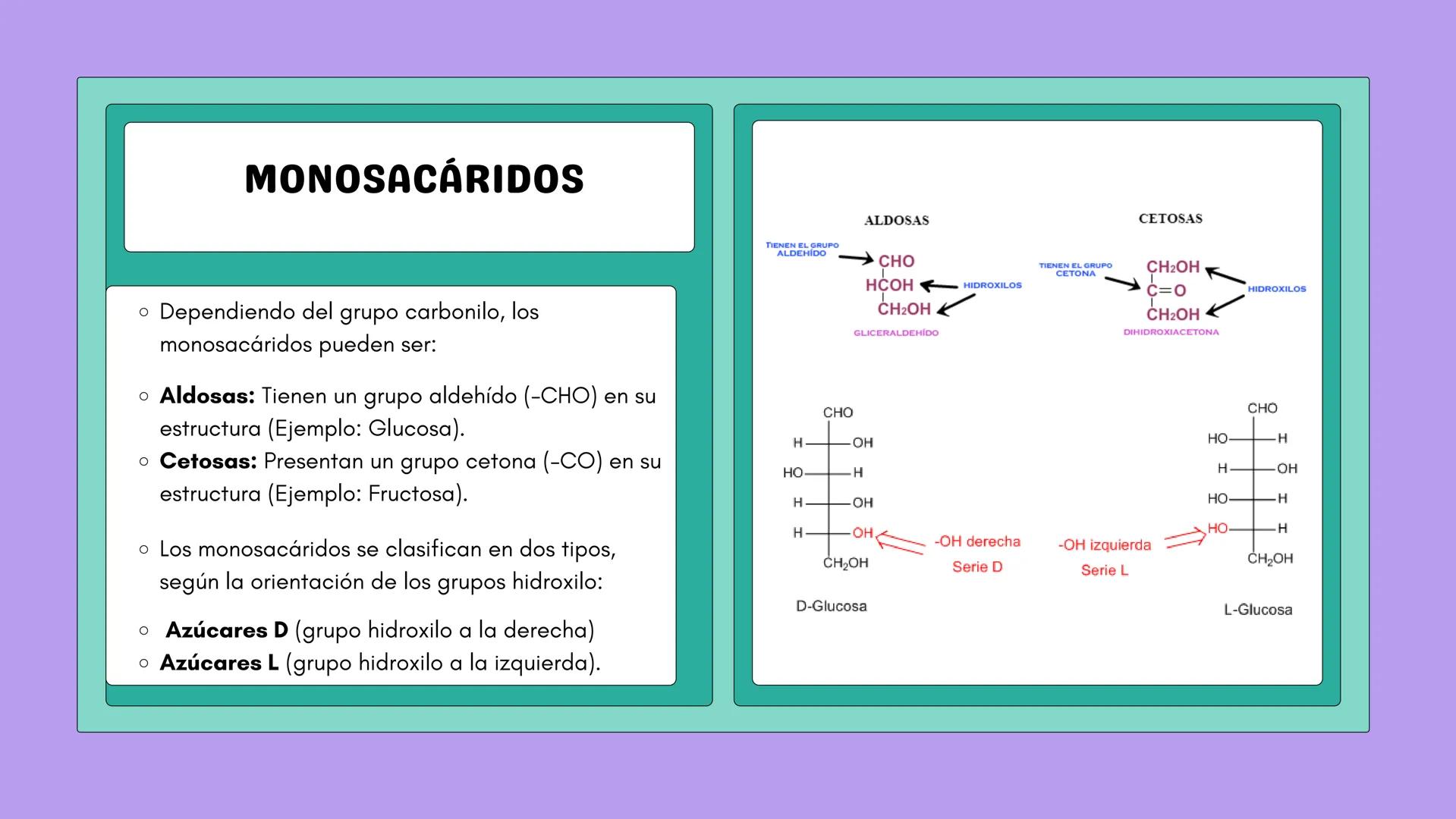 # NUTRICIÓN Y METABOLISMO I
# HIDRATOS DE CARBONO
# GENERALIDADES Y ESTRUCTURAS # ¿QUÉ SON?
Los hidratos de carbono son
compuestos que co