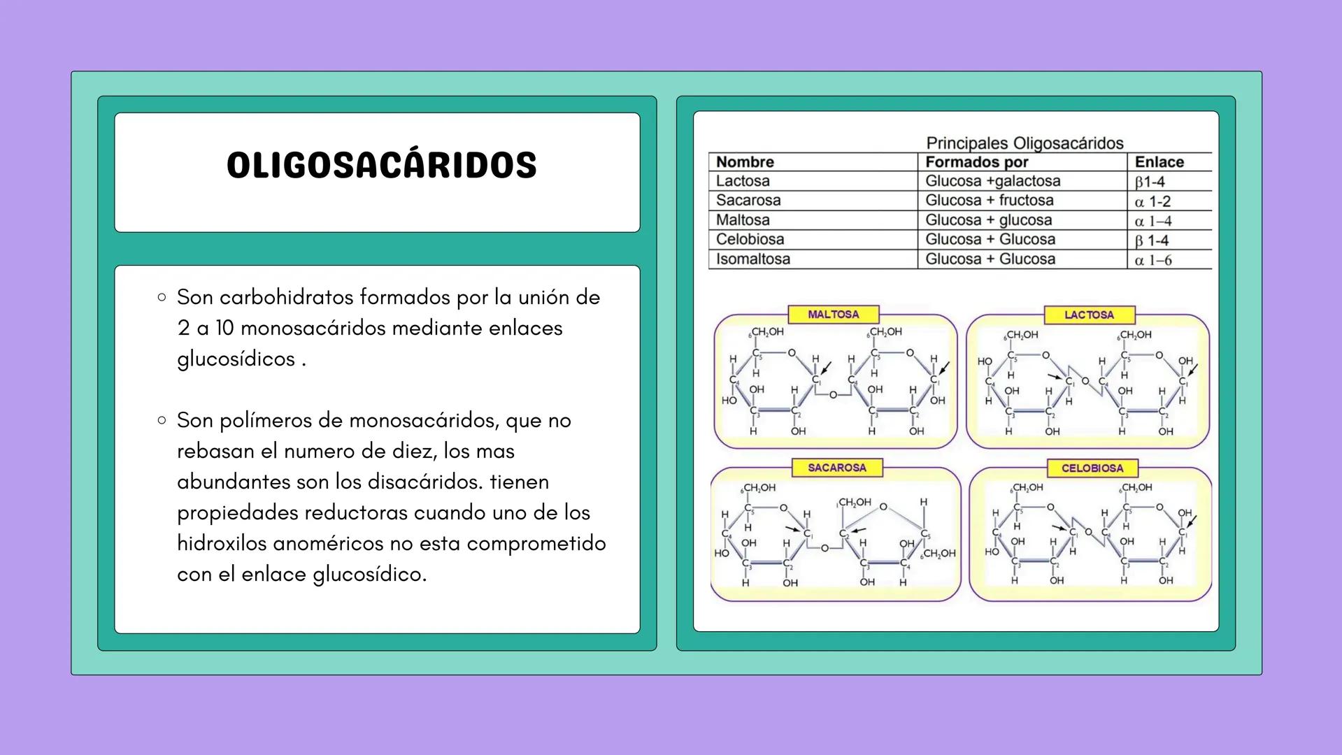 # NUTRICIÓN Y METABOLISMO I
# HIDRATOS DE CARBONO
# GENERALIDADES Y ESTRUCTURAS # ¿QUÉ SON?
Los hidratos de carbono son
compuestos que co
