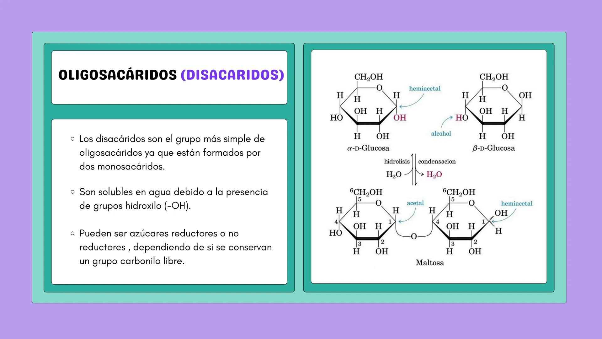 # NUTRICIÓN Y METABOLISMO I
# HIDRATOS DE CARBONO
# GENERALIDADES Y ESTRUCTURAS # ¿QUÉ SON?
Los hidratos de carbono son
compuestos que co