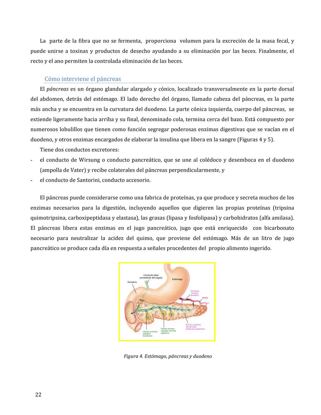 # FISIOLOGÍA DEL APARATO
DIGESTIVO
María Cascales Angosto y Antonio L. Doadrio Villarejo
Introducción
El aparato digestivo es un verdader