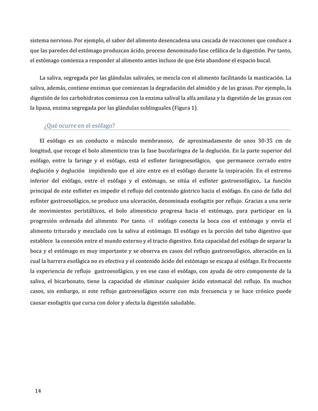 # FISIOLOGÍA DEL APARATO
DIGESTIVO
María Cascales Angosto y Antonio L. Doadrio Villarejo
Introducción
El aparato digestivo es un verdader