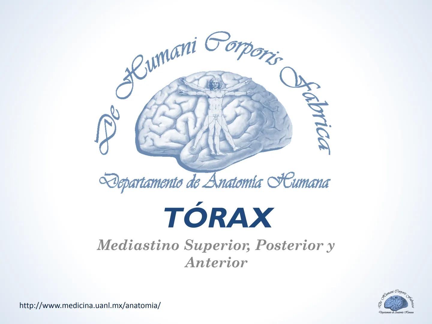 De Humani Corporis Fabri
Departamento de Anatomía Humana
TÓRAX
Mediastino Superior, Posterior y
http://www.medicina.uanl.mx/anatomia/
A