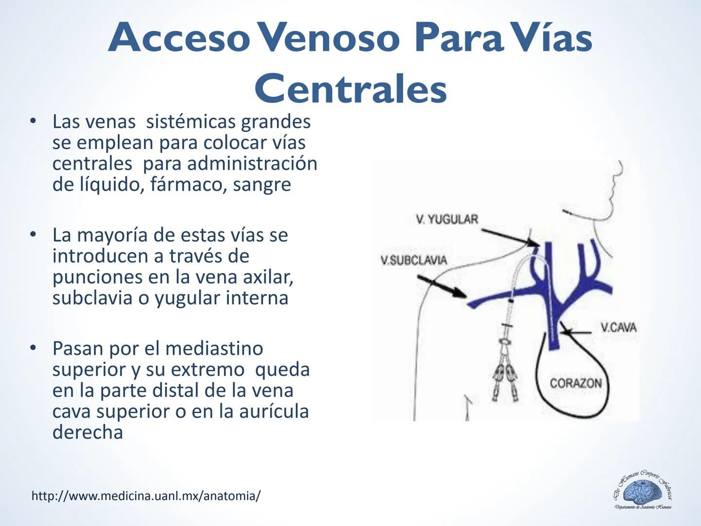 De Humani Corporis Fabri
Departamento de Anatomía Humana
TÓRAX
Mediastino Superior, Posterior y
http://www.medicina.uanl.mx/anatomia/
A