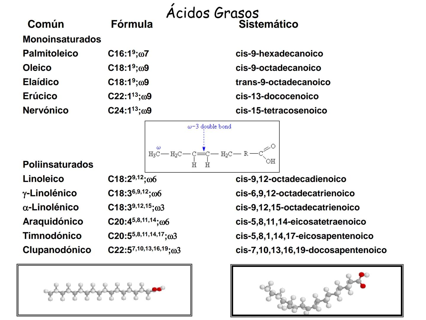# Fundamentos de Bioquímica
Lípidos
FLUID
Phosphatidyl
Choline Bilayer
Carbon/Palmitic
Nitrogen Oleic
Oxygen
Water Oxygens
Phosphorus
H